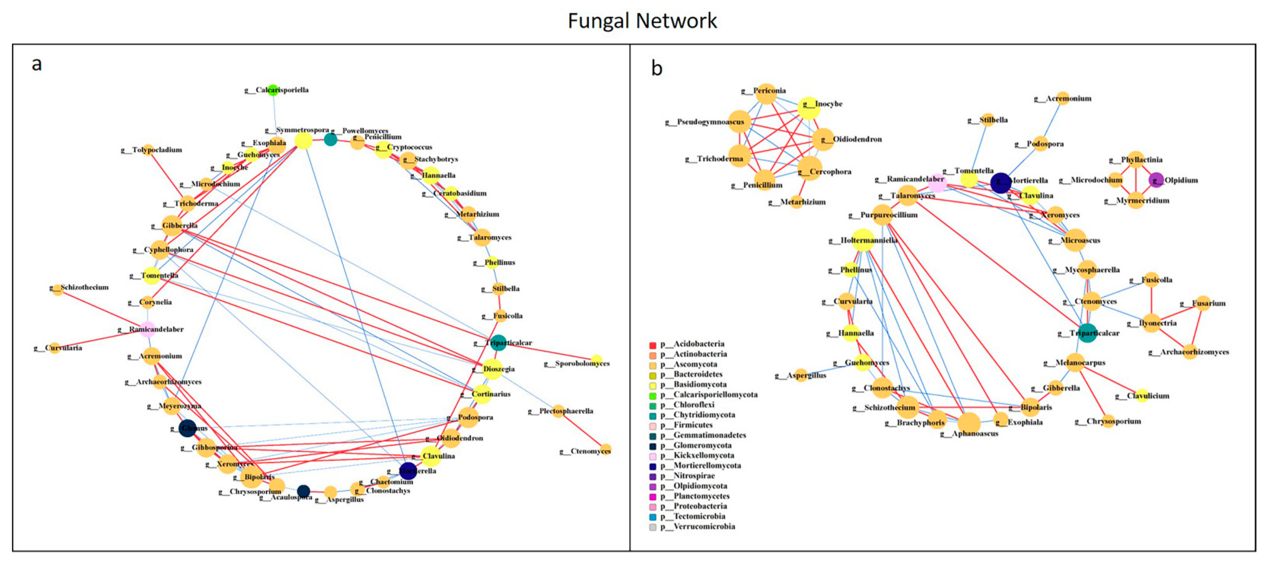 Microorganisms 10 00462 g008