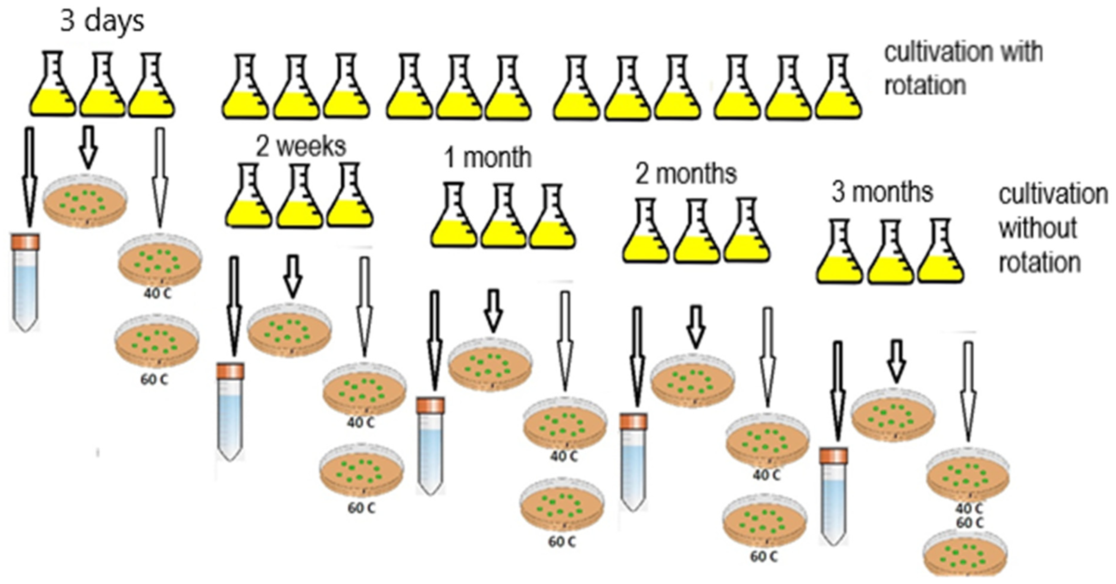 Microorganisms 10 00465 g001 Microorganisms 10 00465 g001