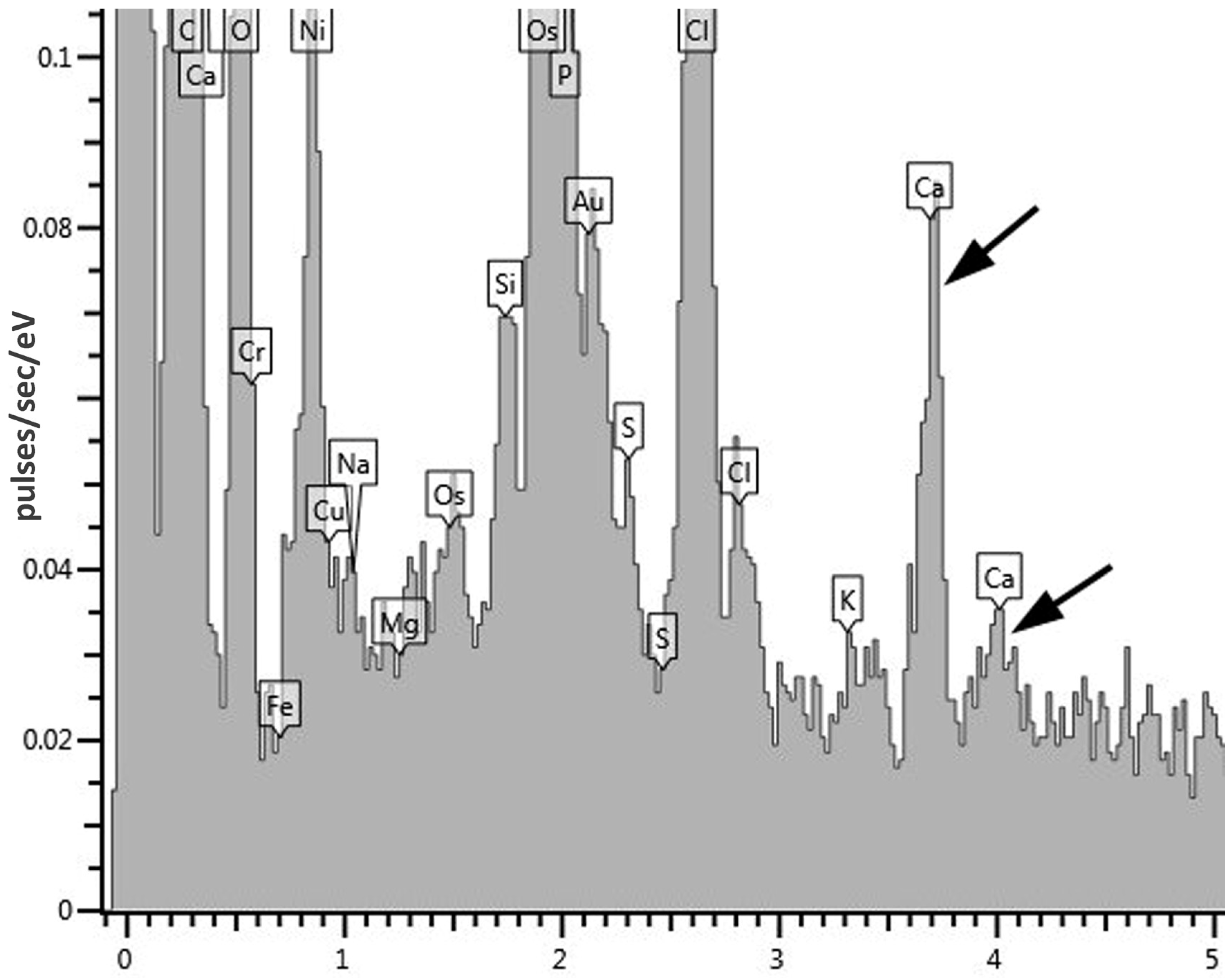 Microorganisms 10 00465 g006 Microorganisms 10 00465 g006