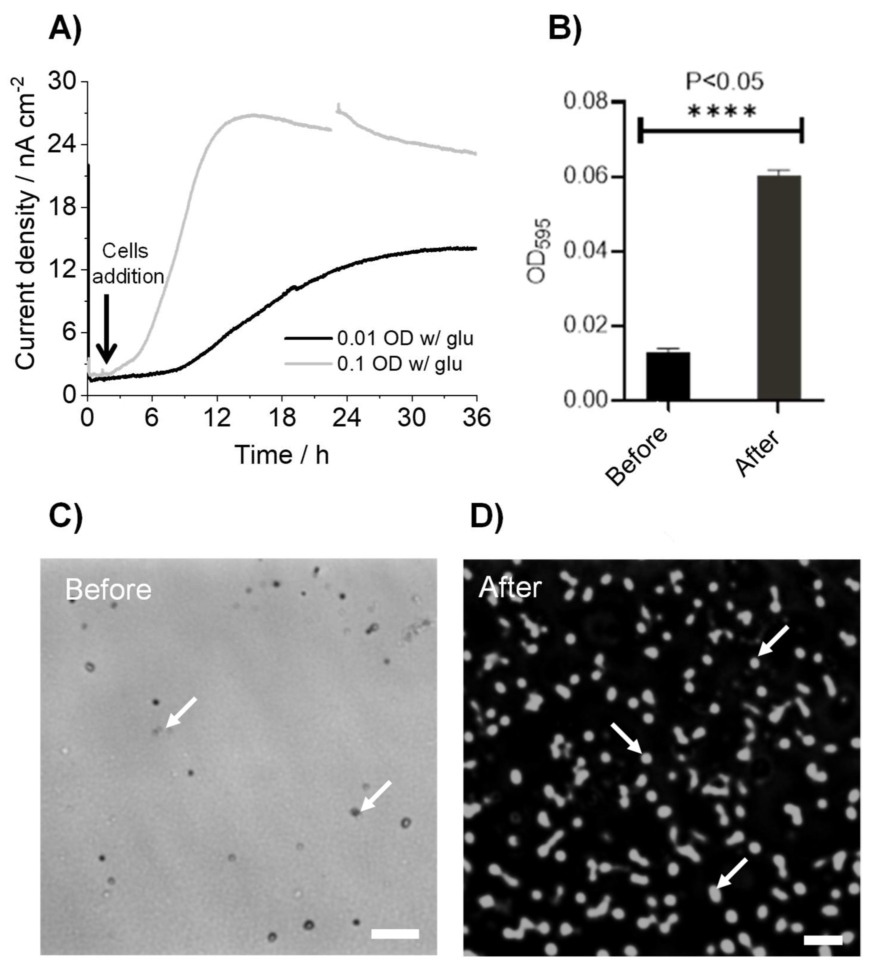 Microorganisms 10 00472 g002