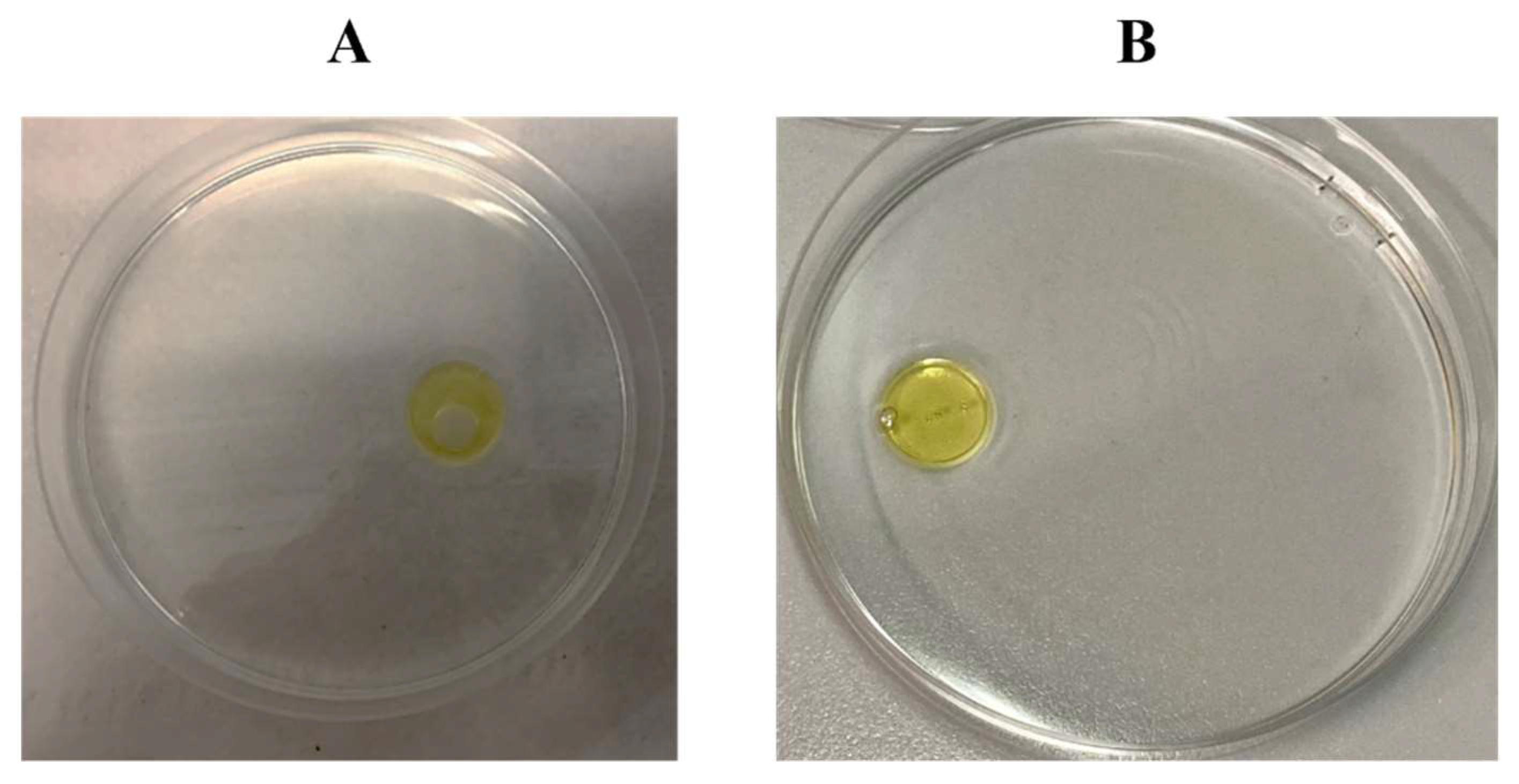 Microorganisms 10 00475 g001