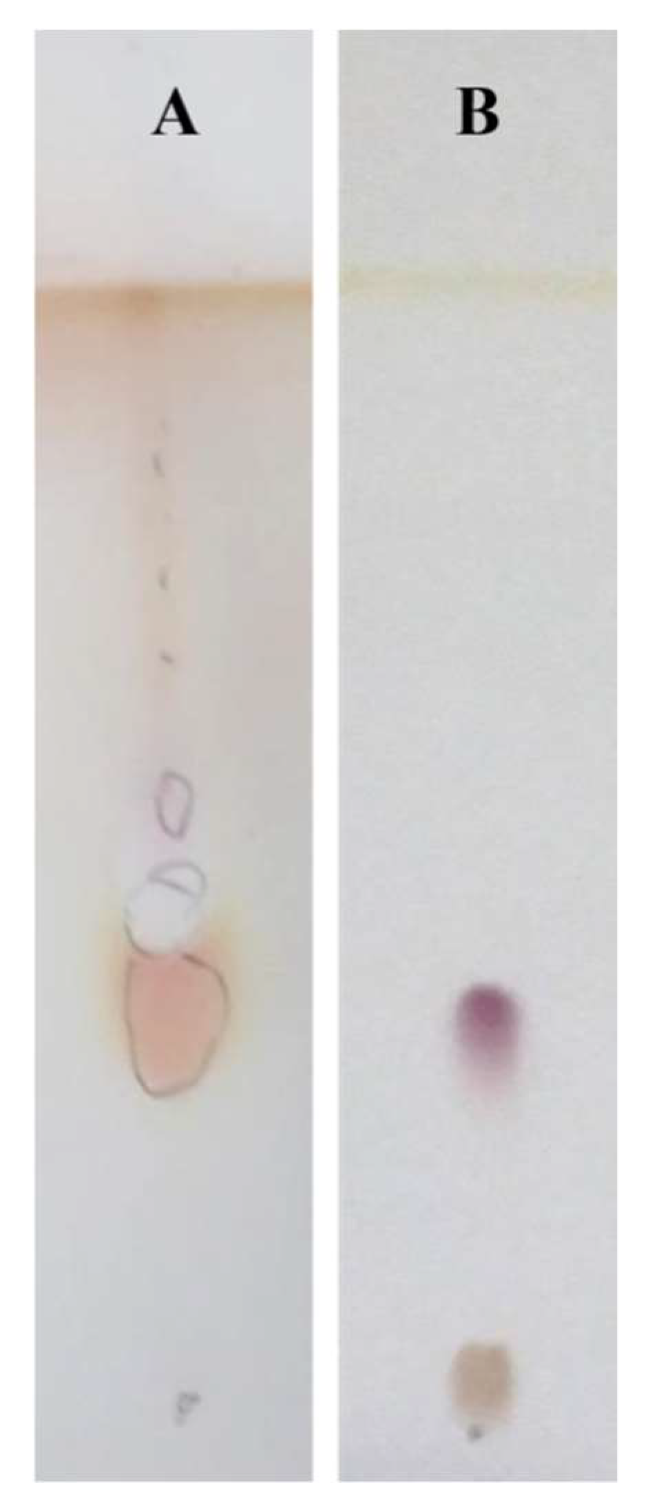 Microorganisms 10 00475 g003