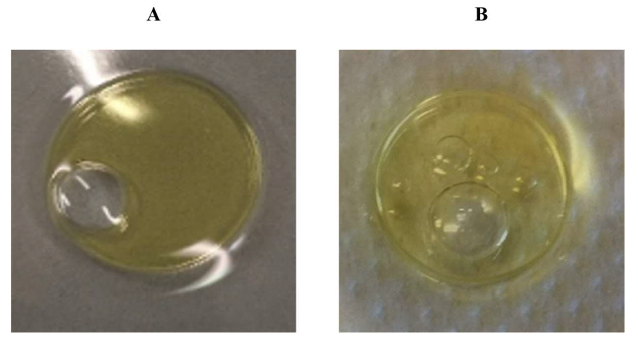 Microorganisms 10 00475 g004