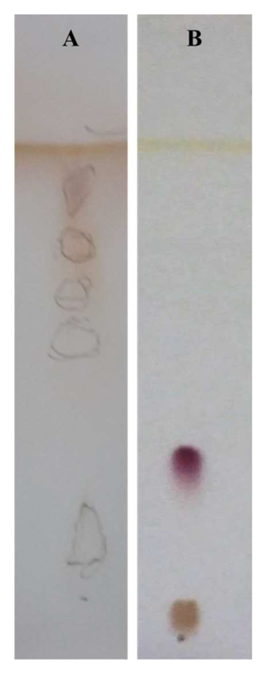 Microorganisms 10 00475 g005