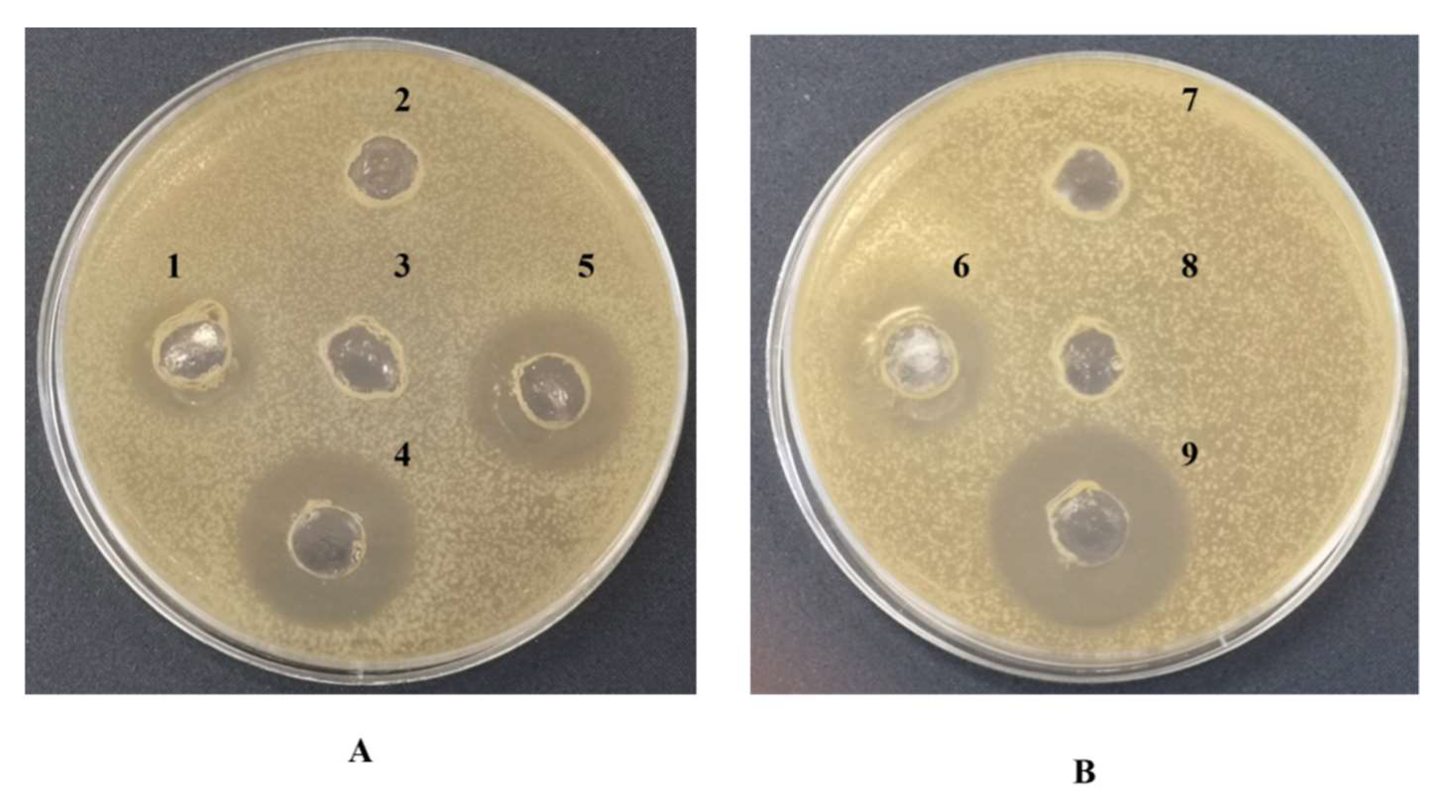 Microorganisms 10 00475 g006