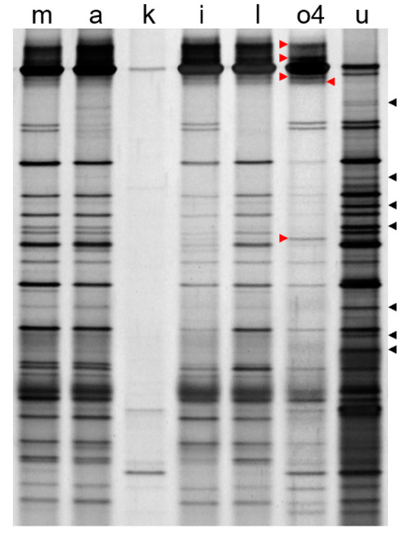 Microorganisms 10 00476 g002