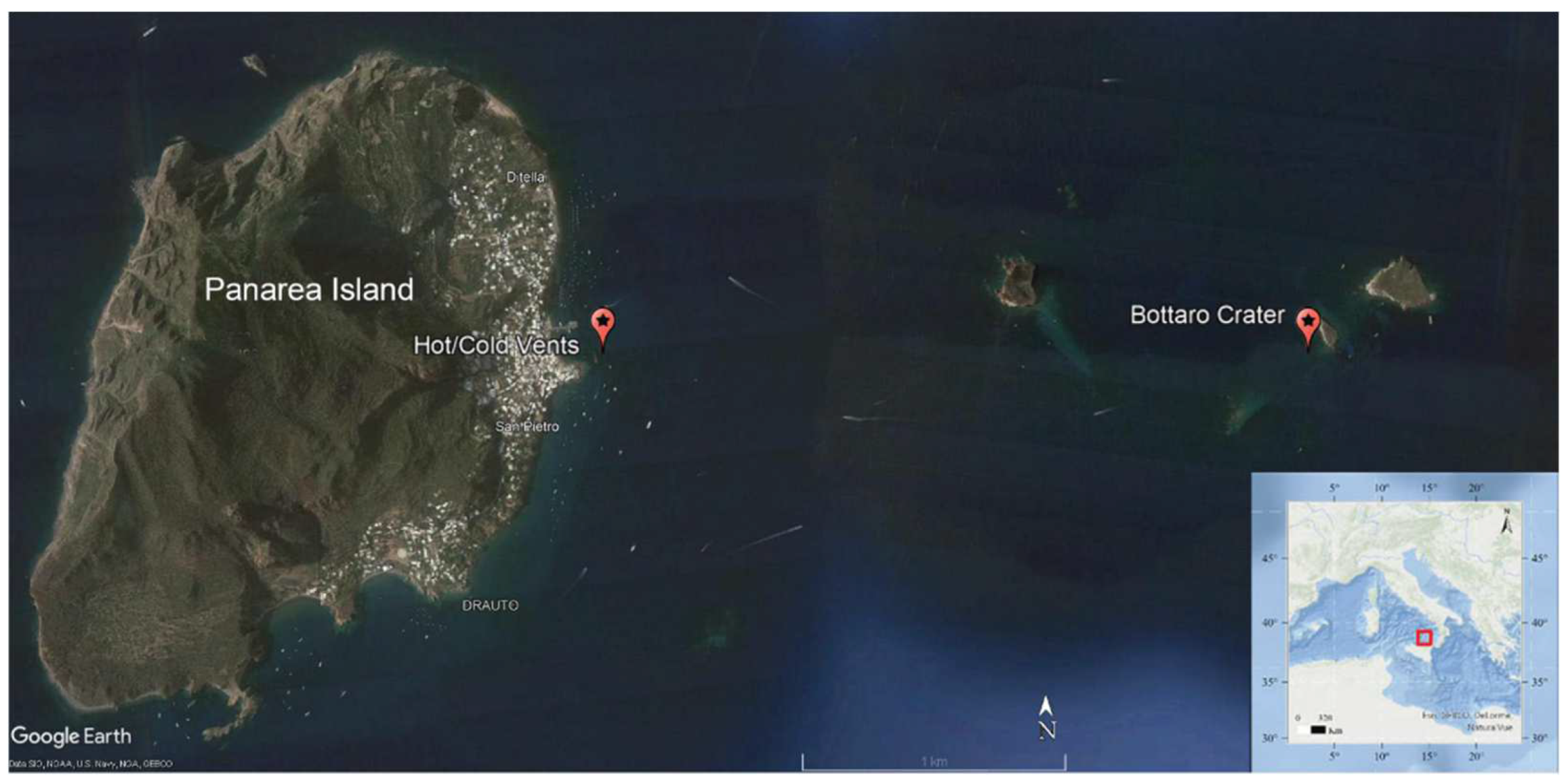 Microorganisms 10 00479 g001