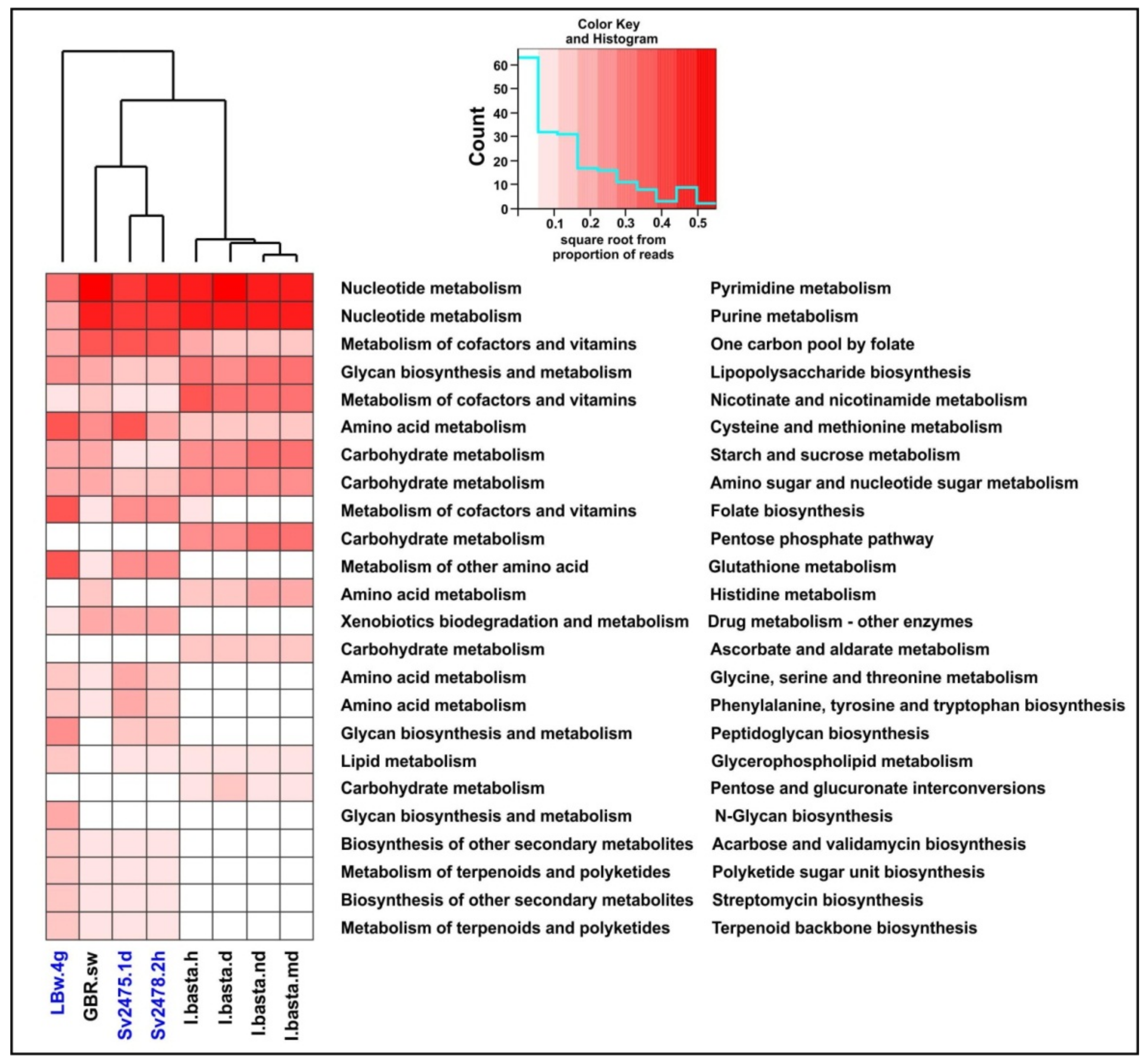 Microorganisms 10 00480 g004
