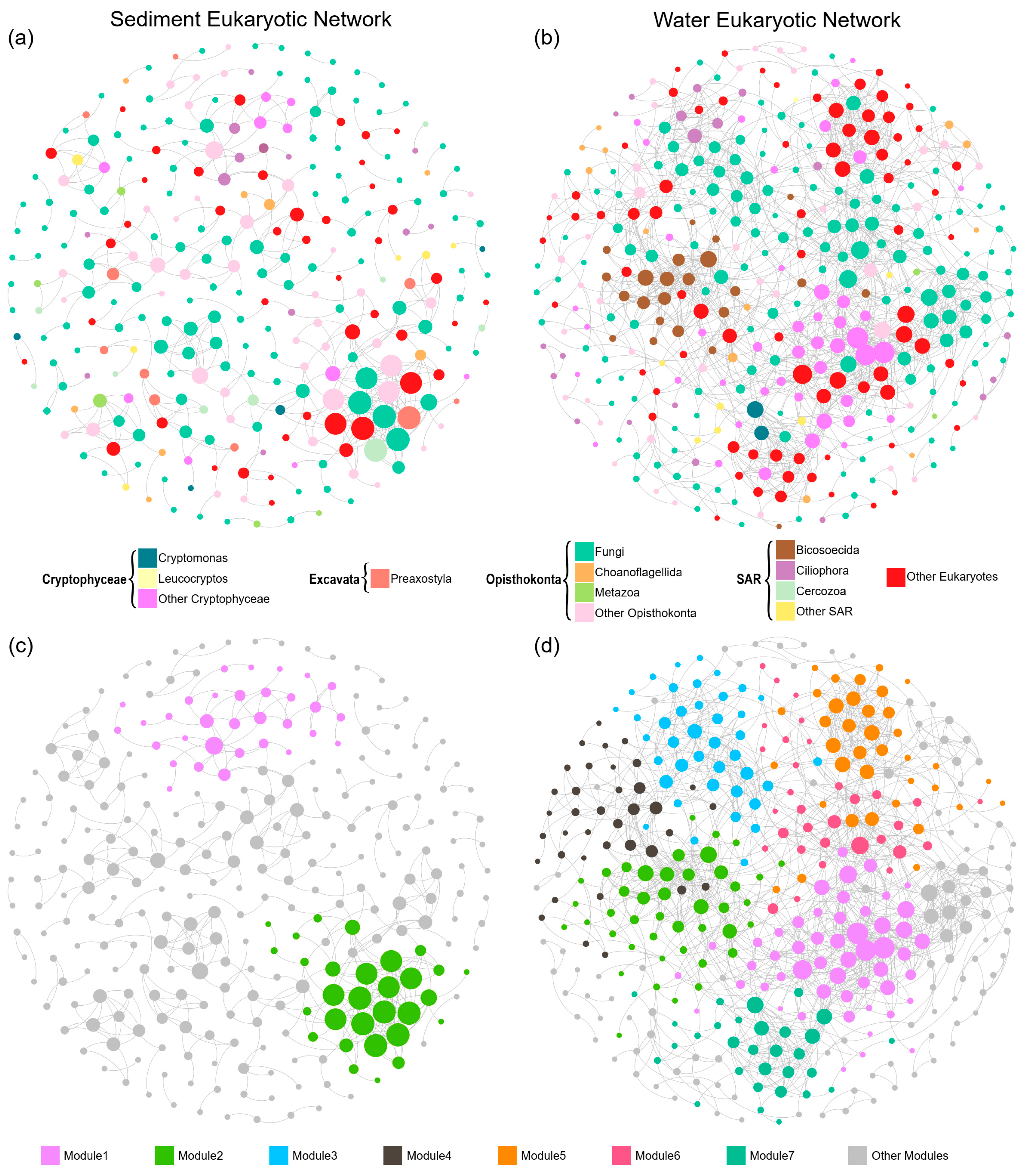 Microorganisms 10 00481 g004