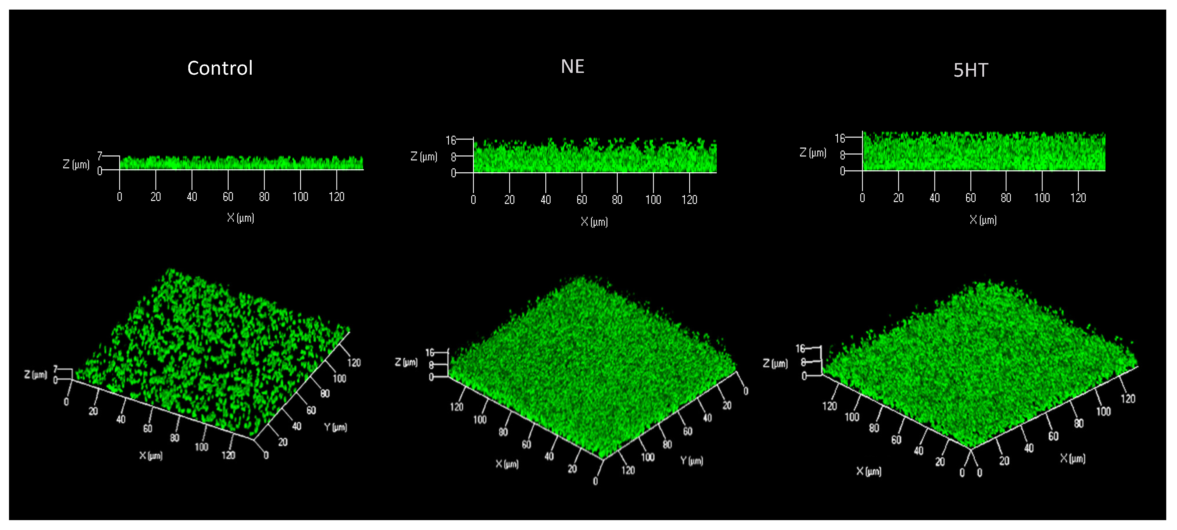 Microorganisms 10 00487 g001