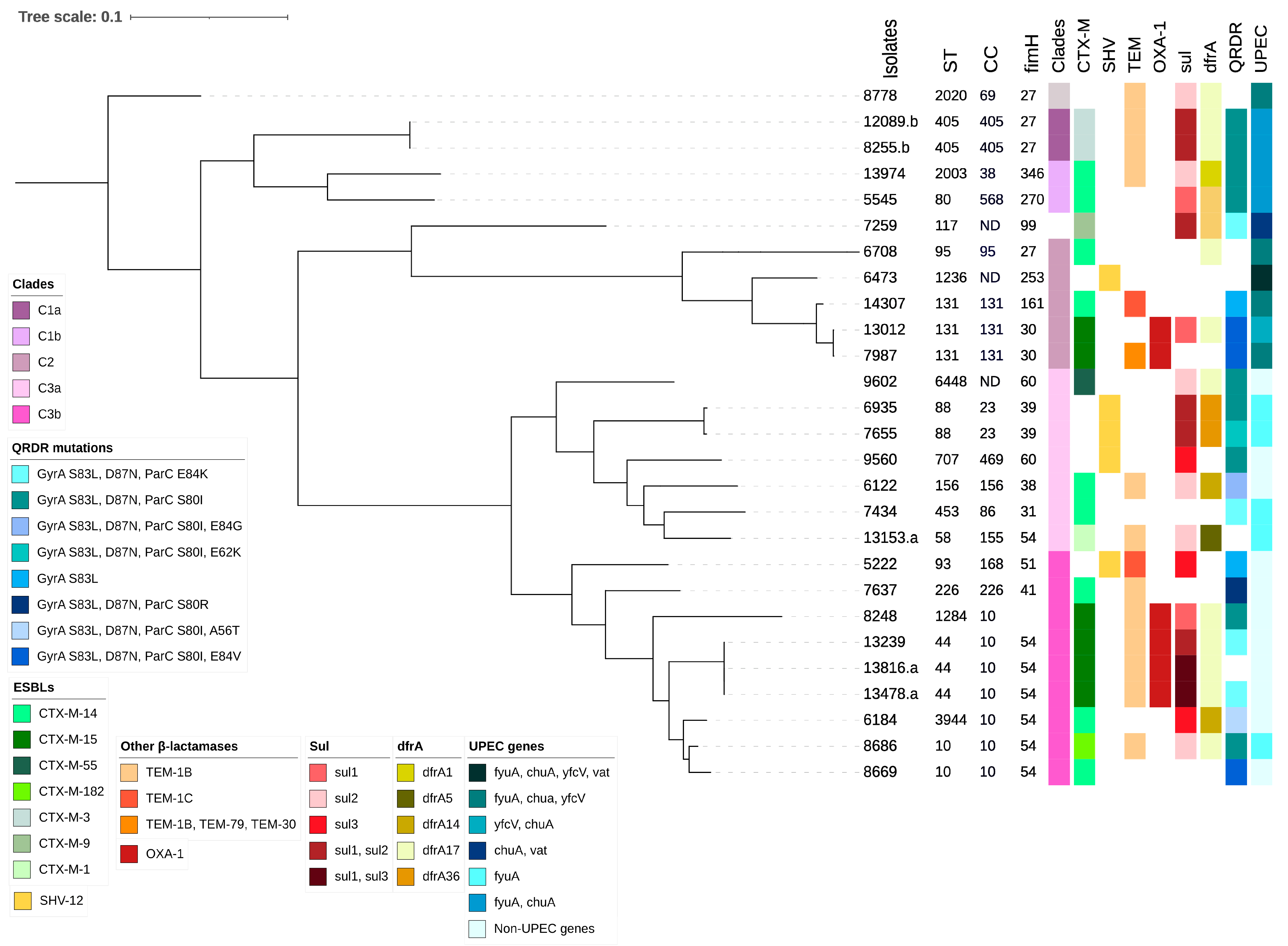 Microorganisms 10 00488 g001