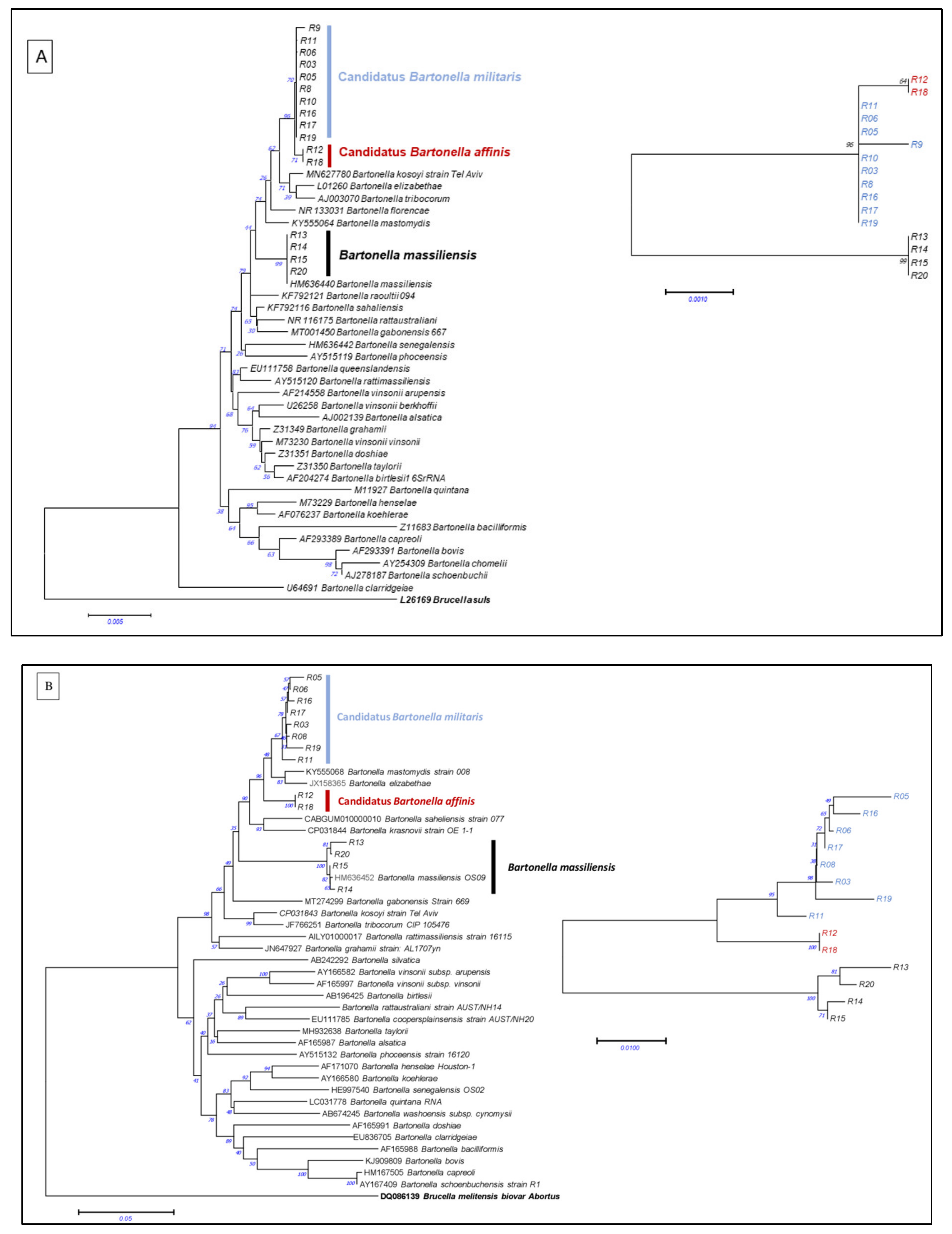 Microorganisms 10 00489 g001a Microorganisms 10 00489 g001a
