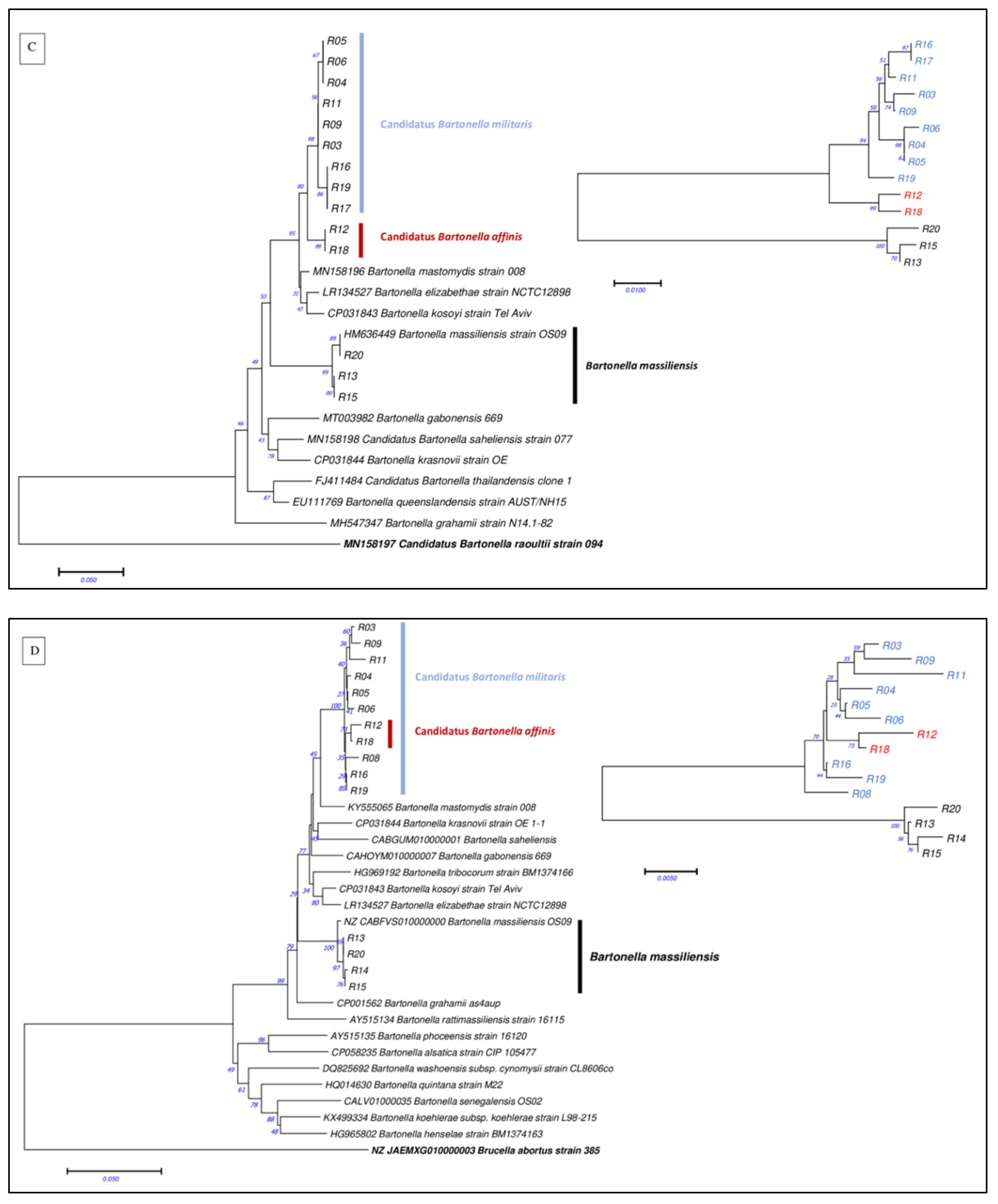 Microorganisms 10 00489 g001b Microorganisms 10 00489 g001b
