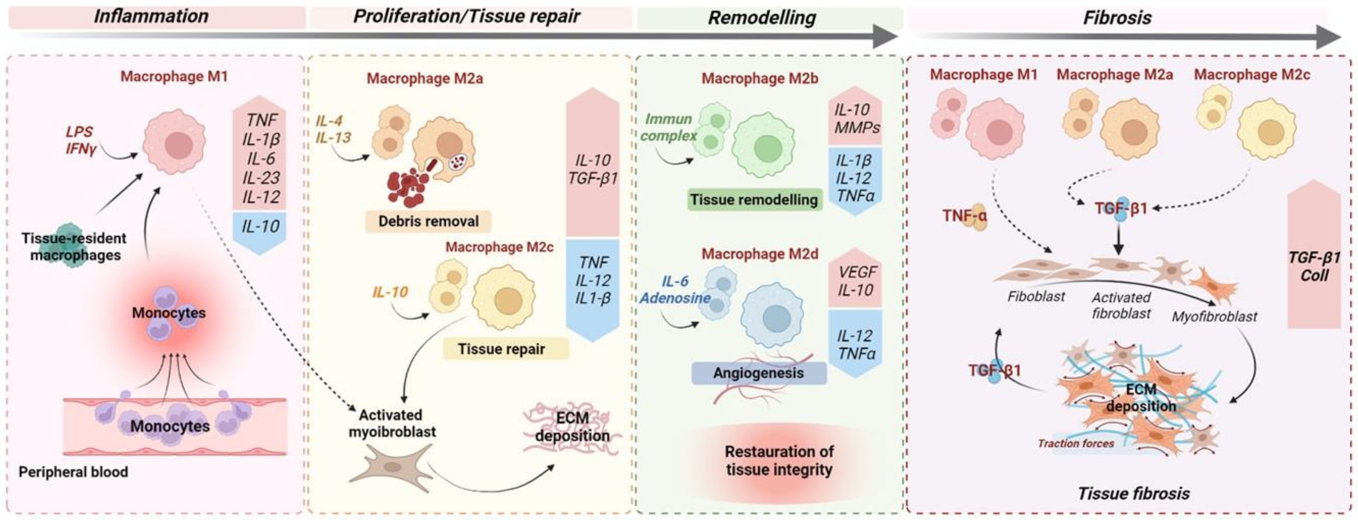 Microorganisms 10 00490 g001