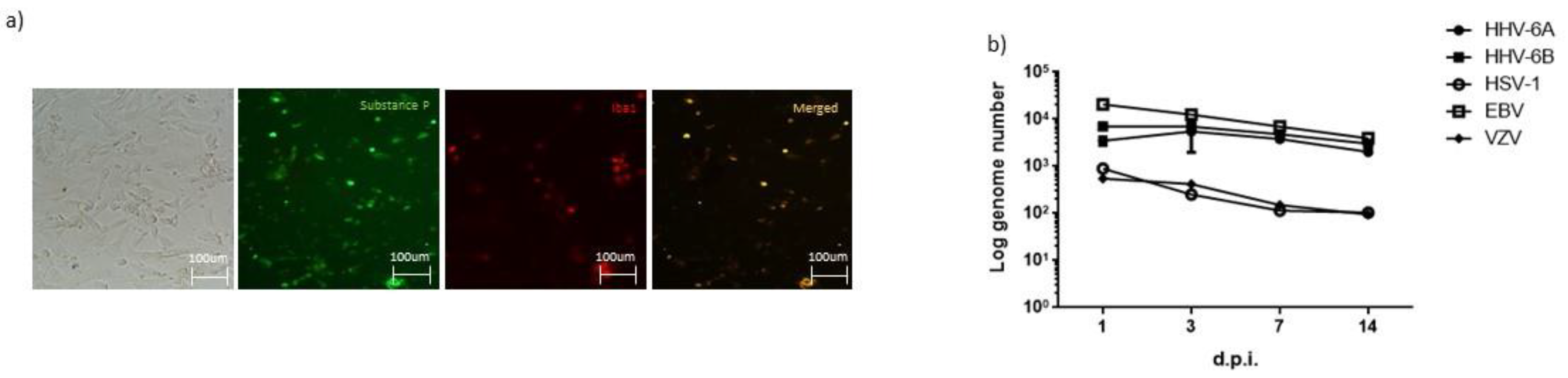 Microorganisms 10 00494 g001 Microorganisms 10 00494 g001