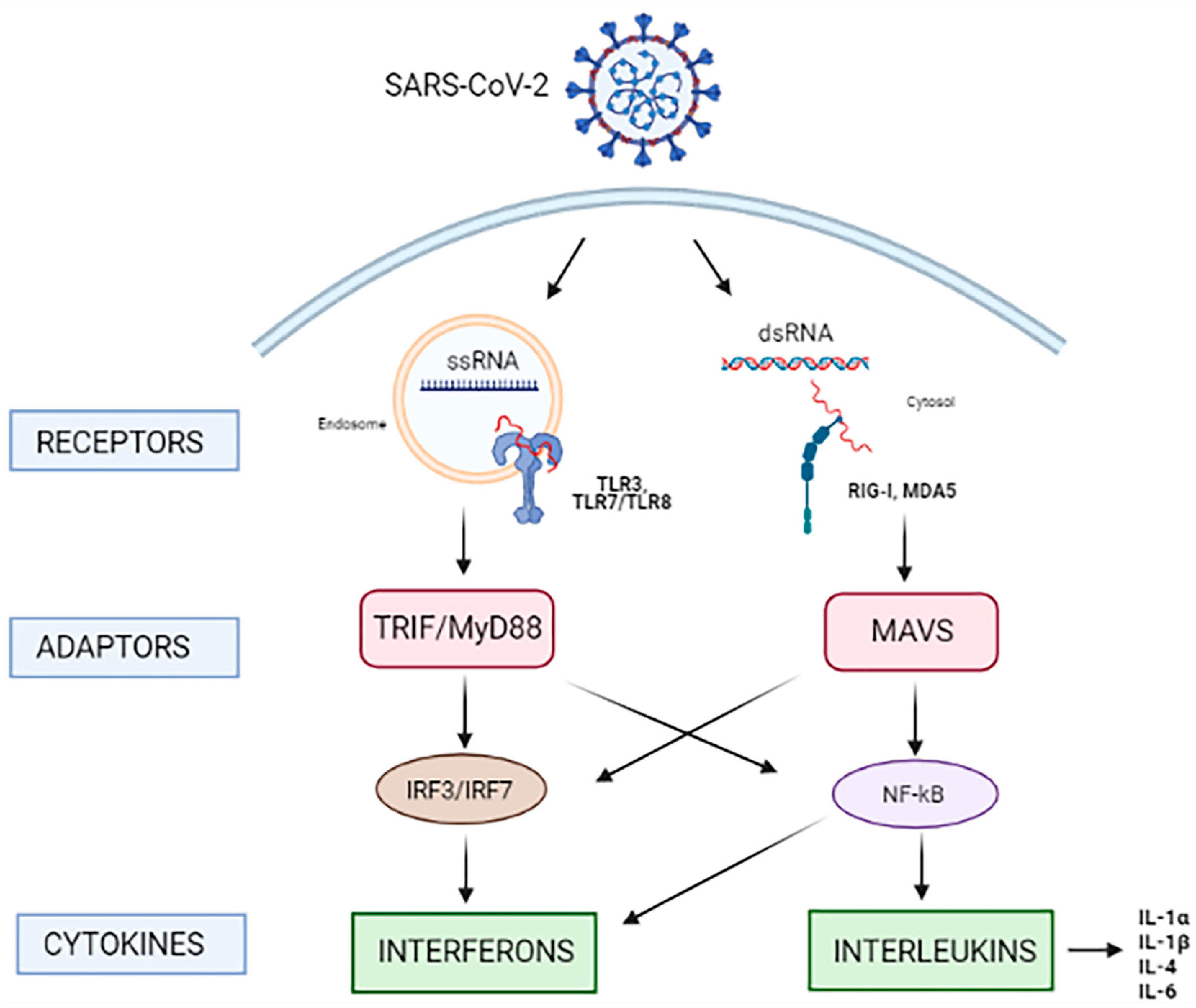 Microorganisms 10 00501 g002