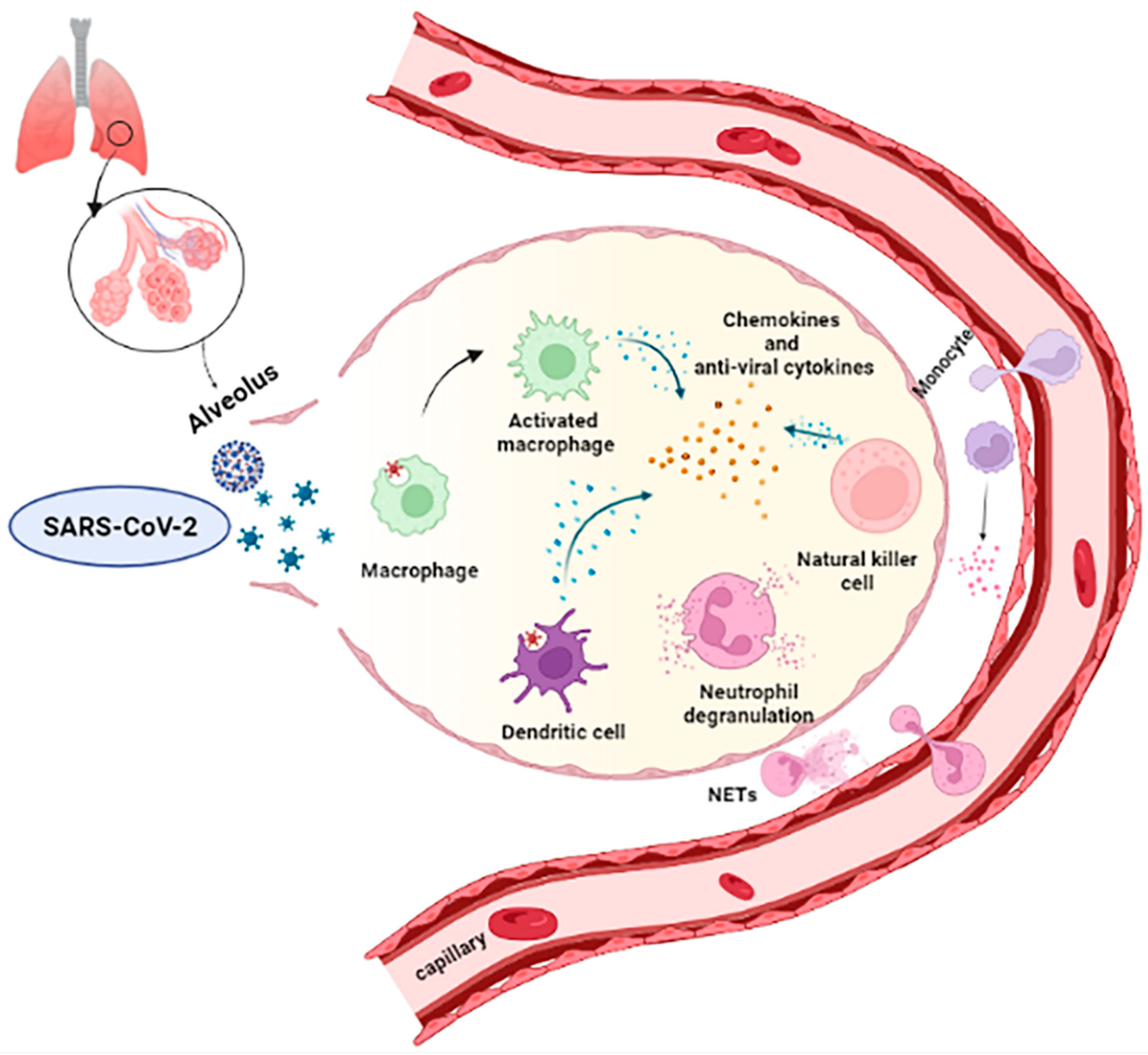 Microorganisms 10 00501 g003