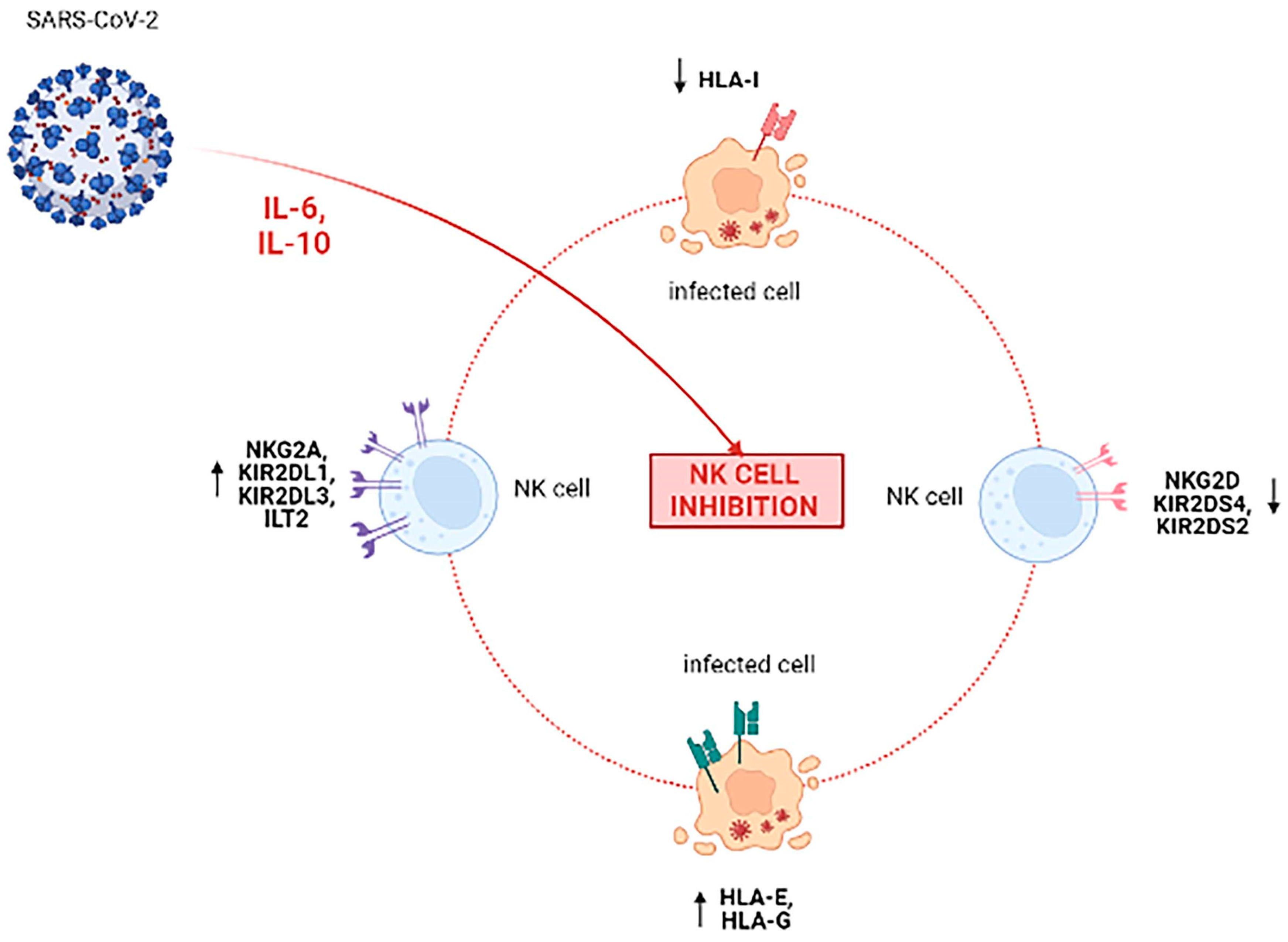 Microorganisms 10 00501 g006