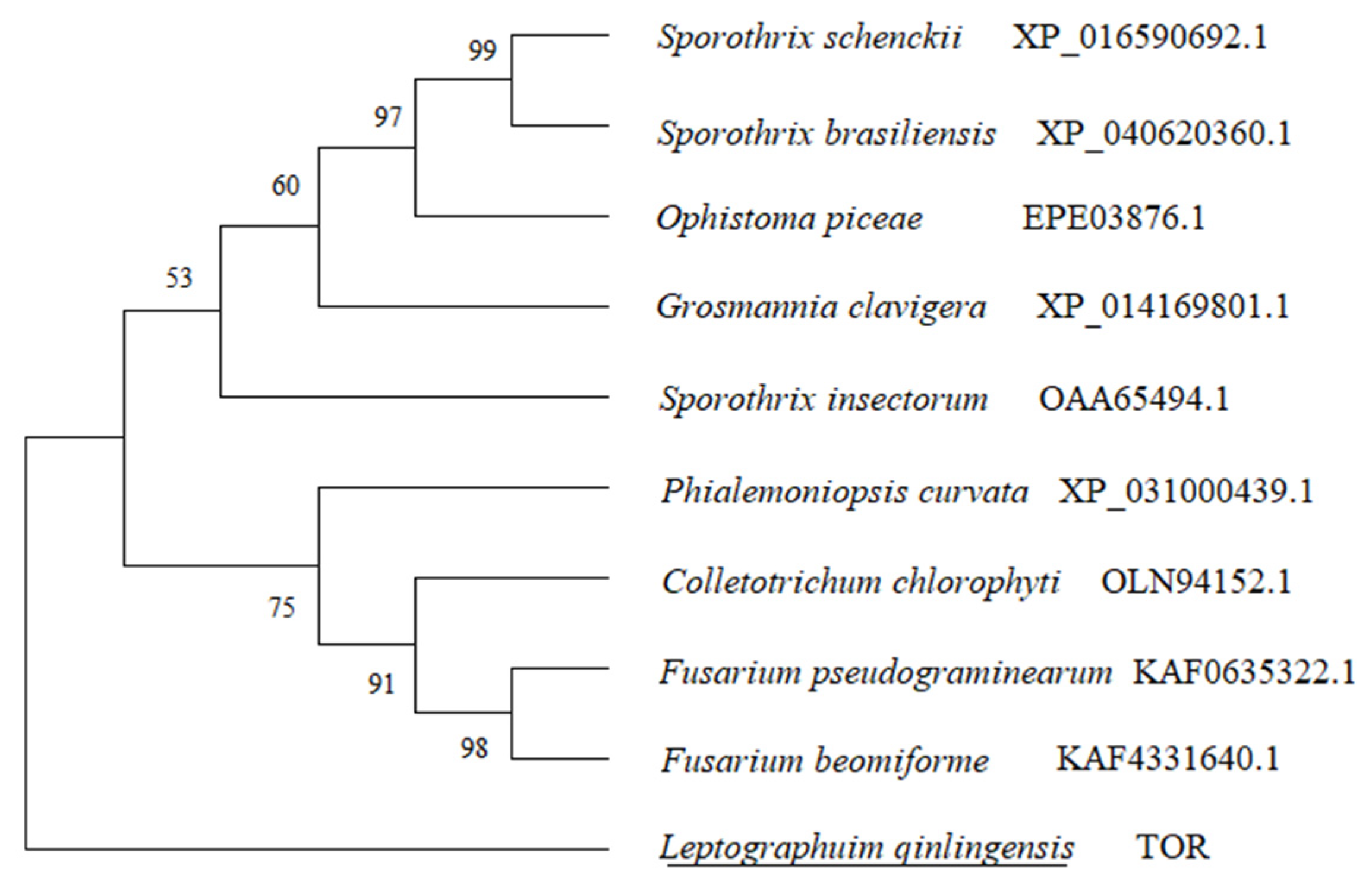 Microorganisms 10 00503 g001