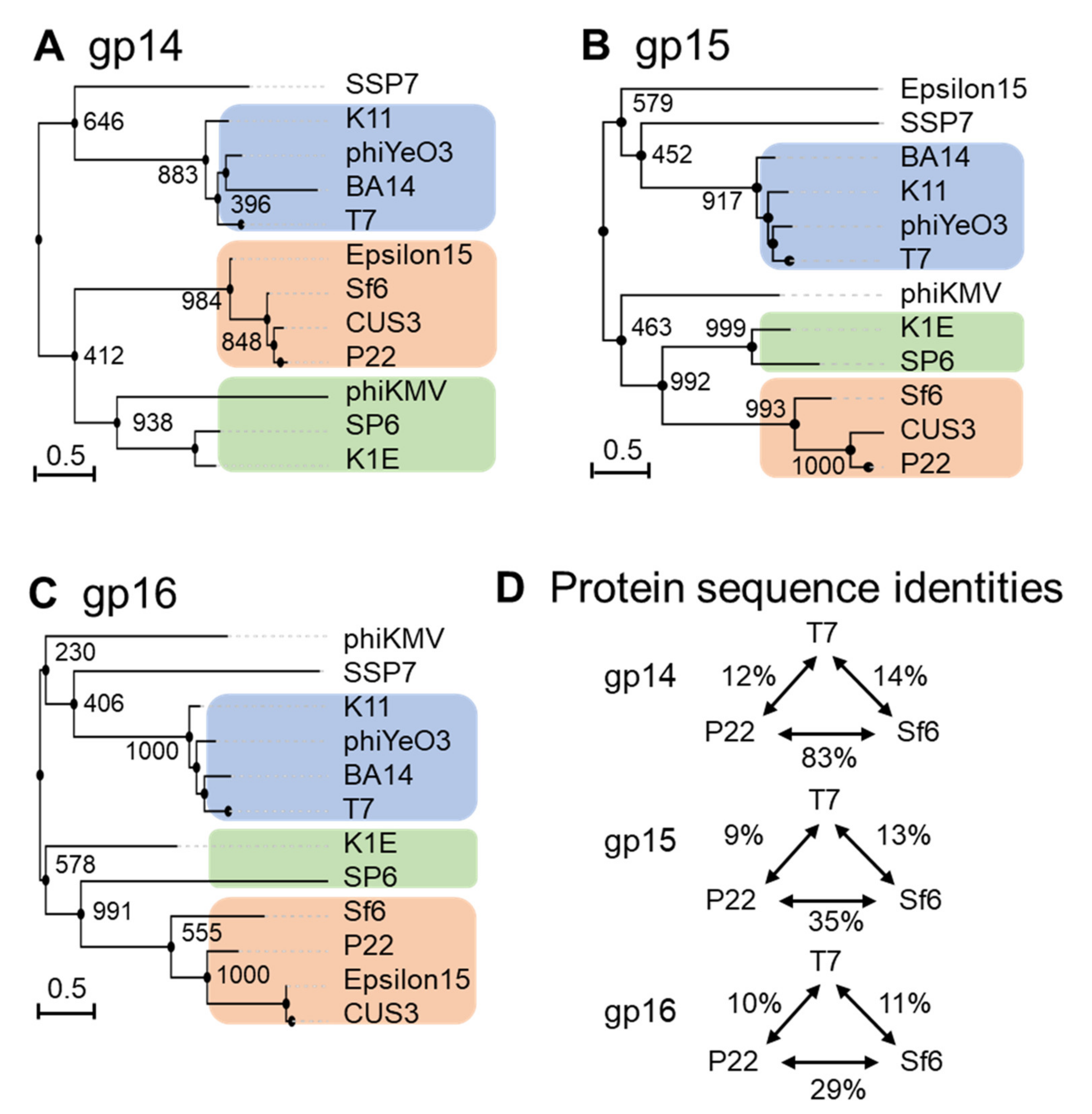 Microorganisms 10 00504 g005 Microorganisms 10 00504 g005