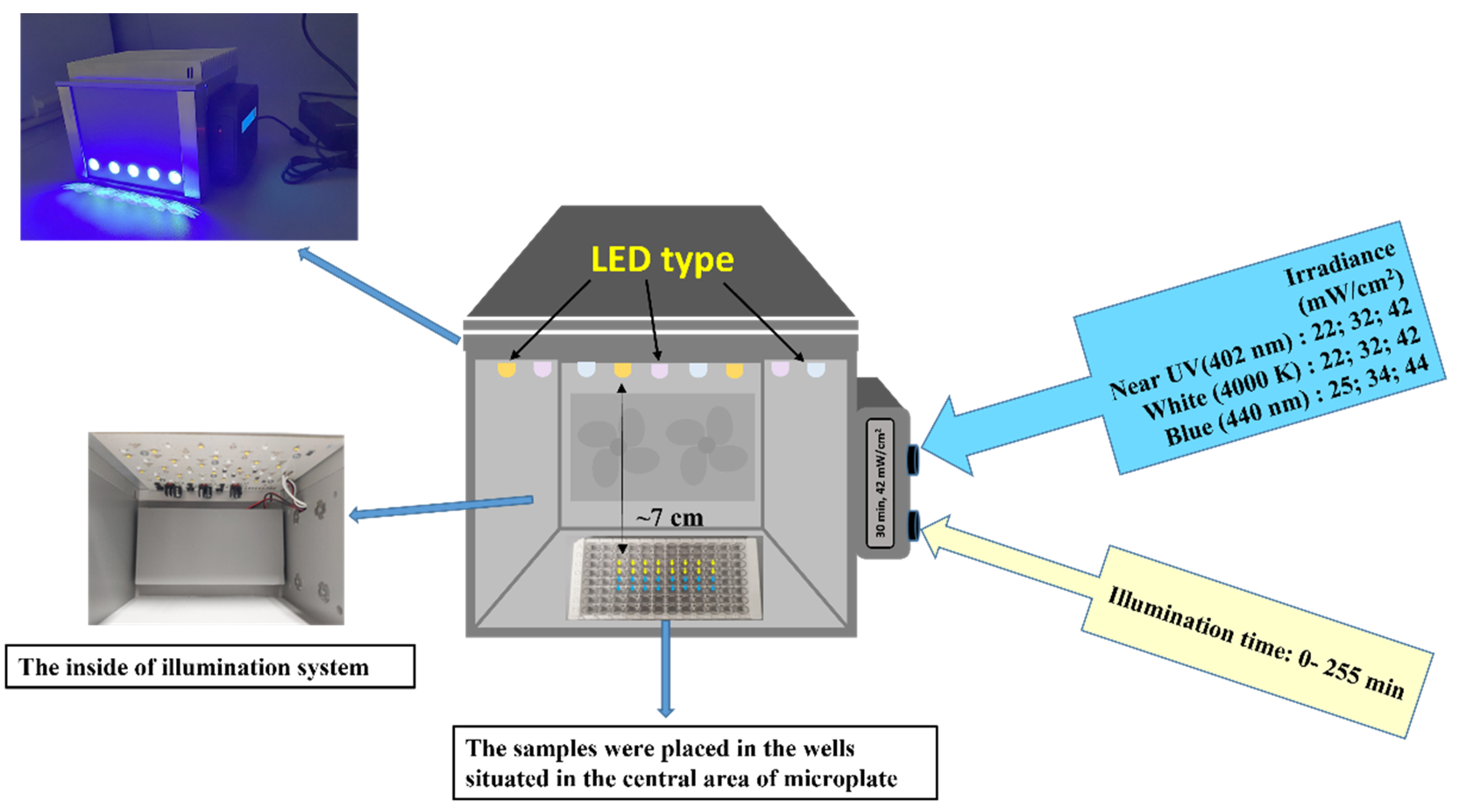 Microorganisms 10 00506 g001
