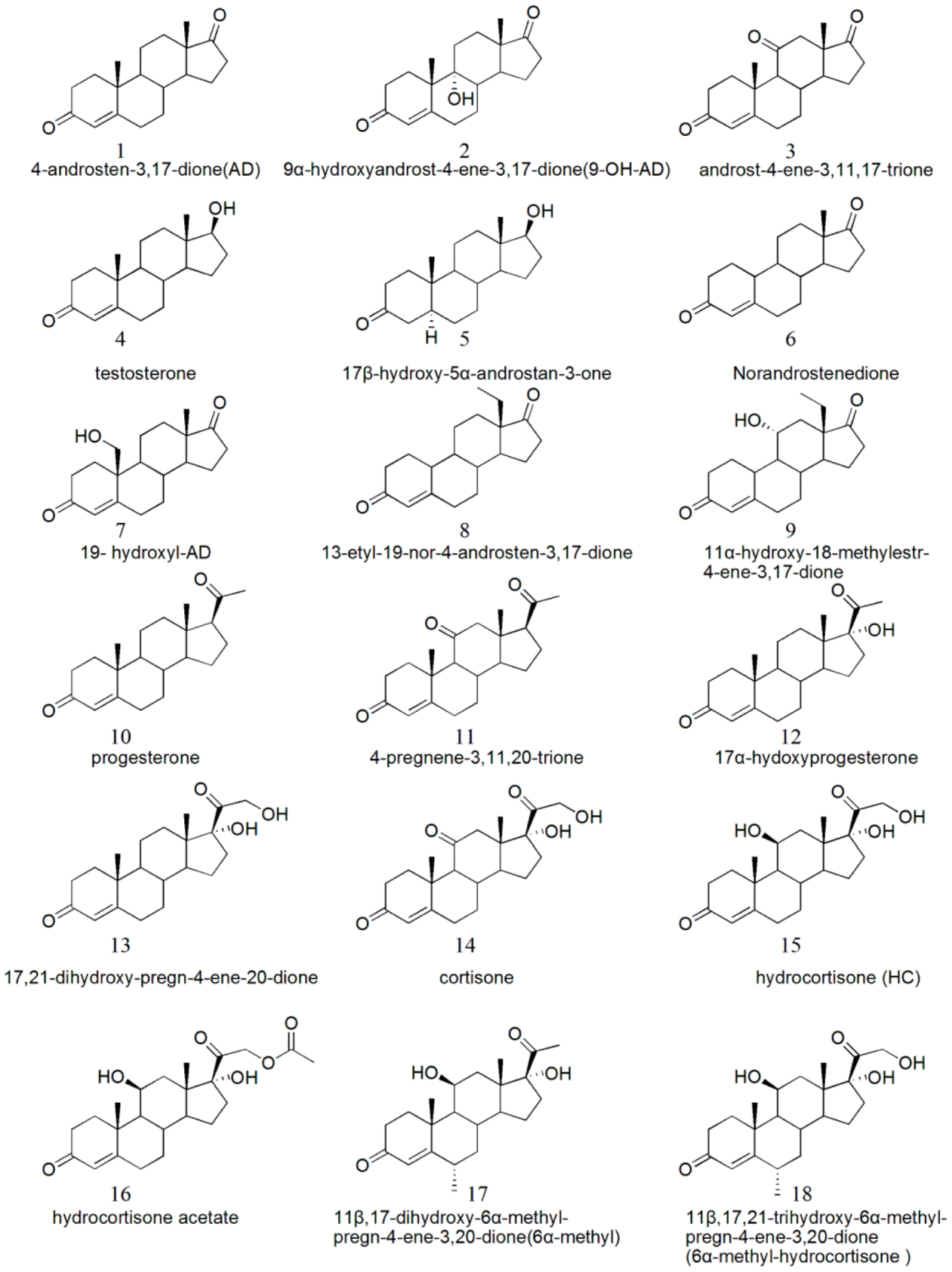 Microorganisms 10 00508 g001