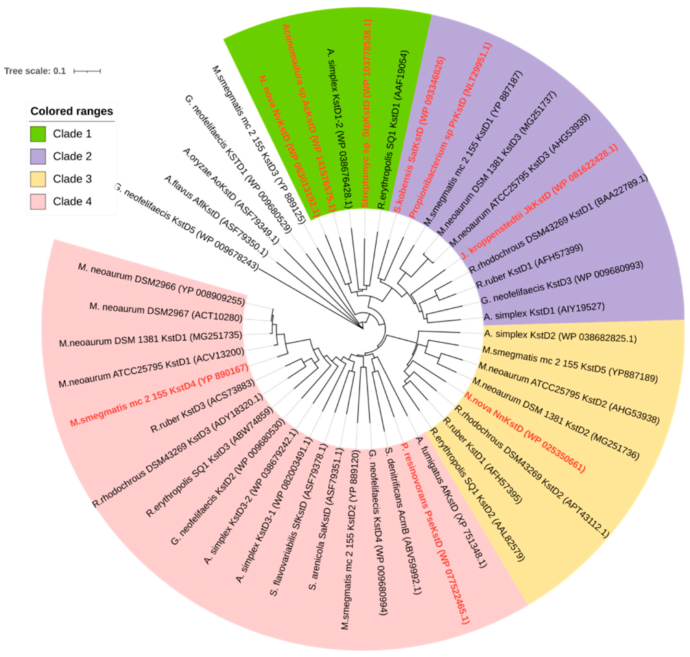 Microorganisms 10 00508 g007