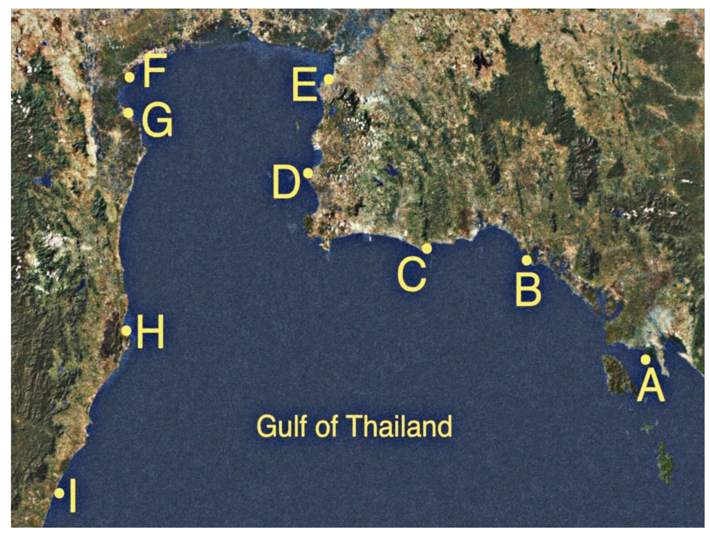 Microorganisms 10 00511 g001