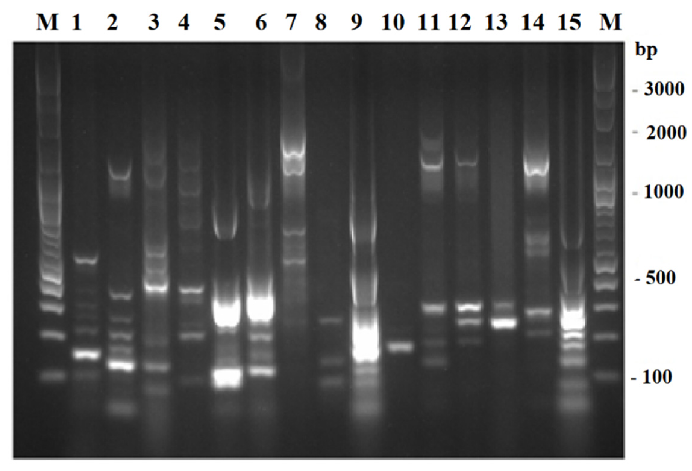 Microorganisms 10 00511 g002