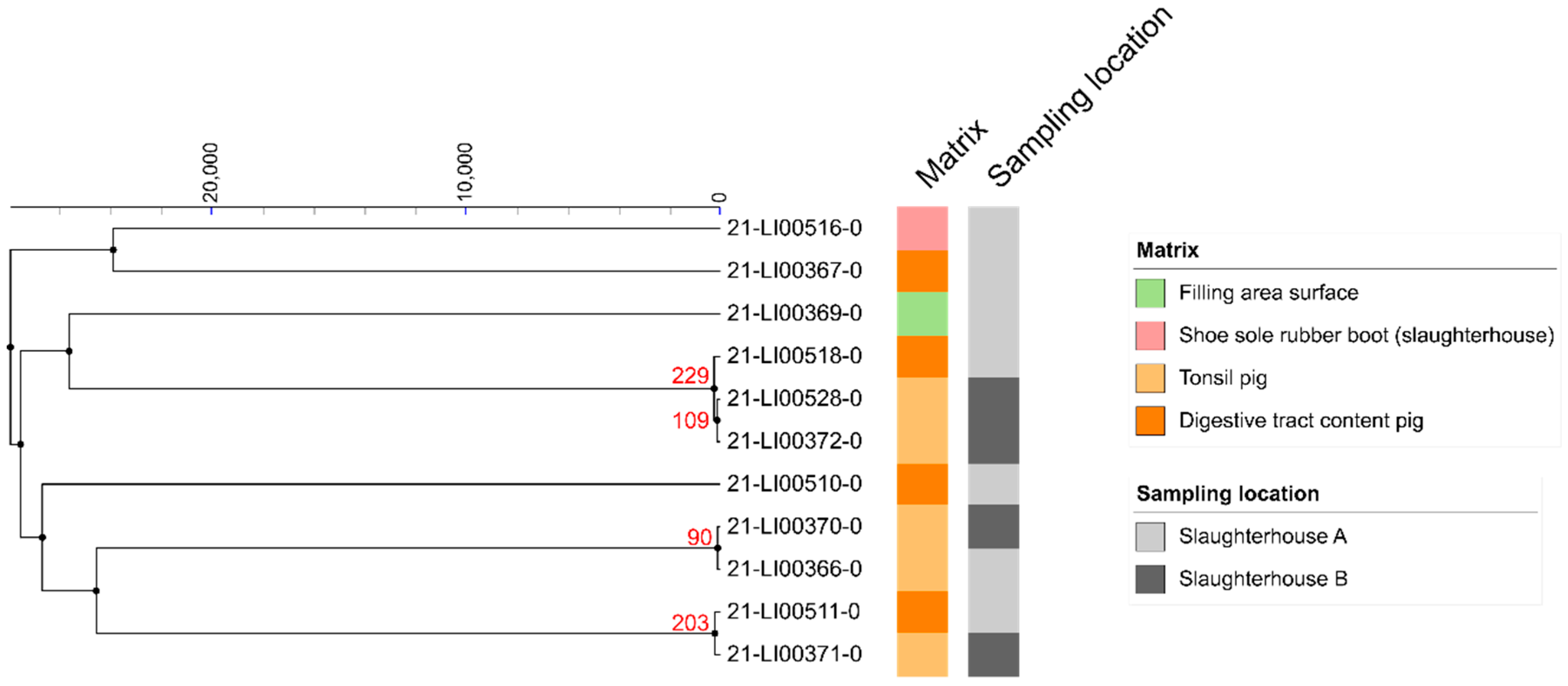 Microorganisms 10 00512 g002