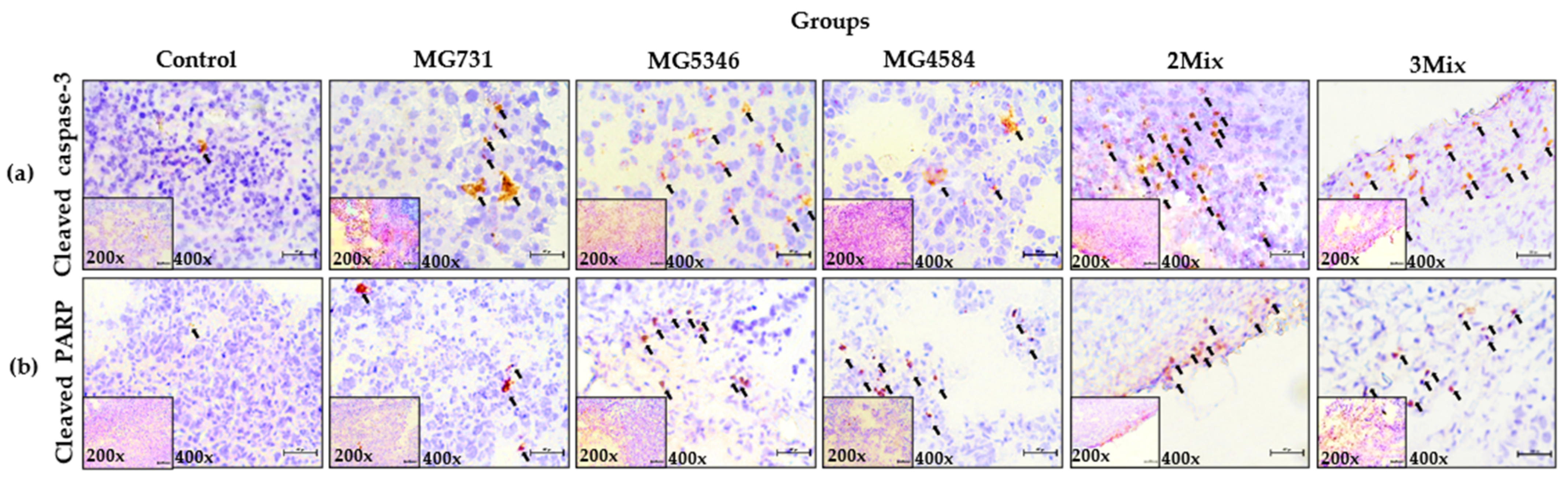 Microorganisms 10 00533 g005