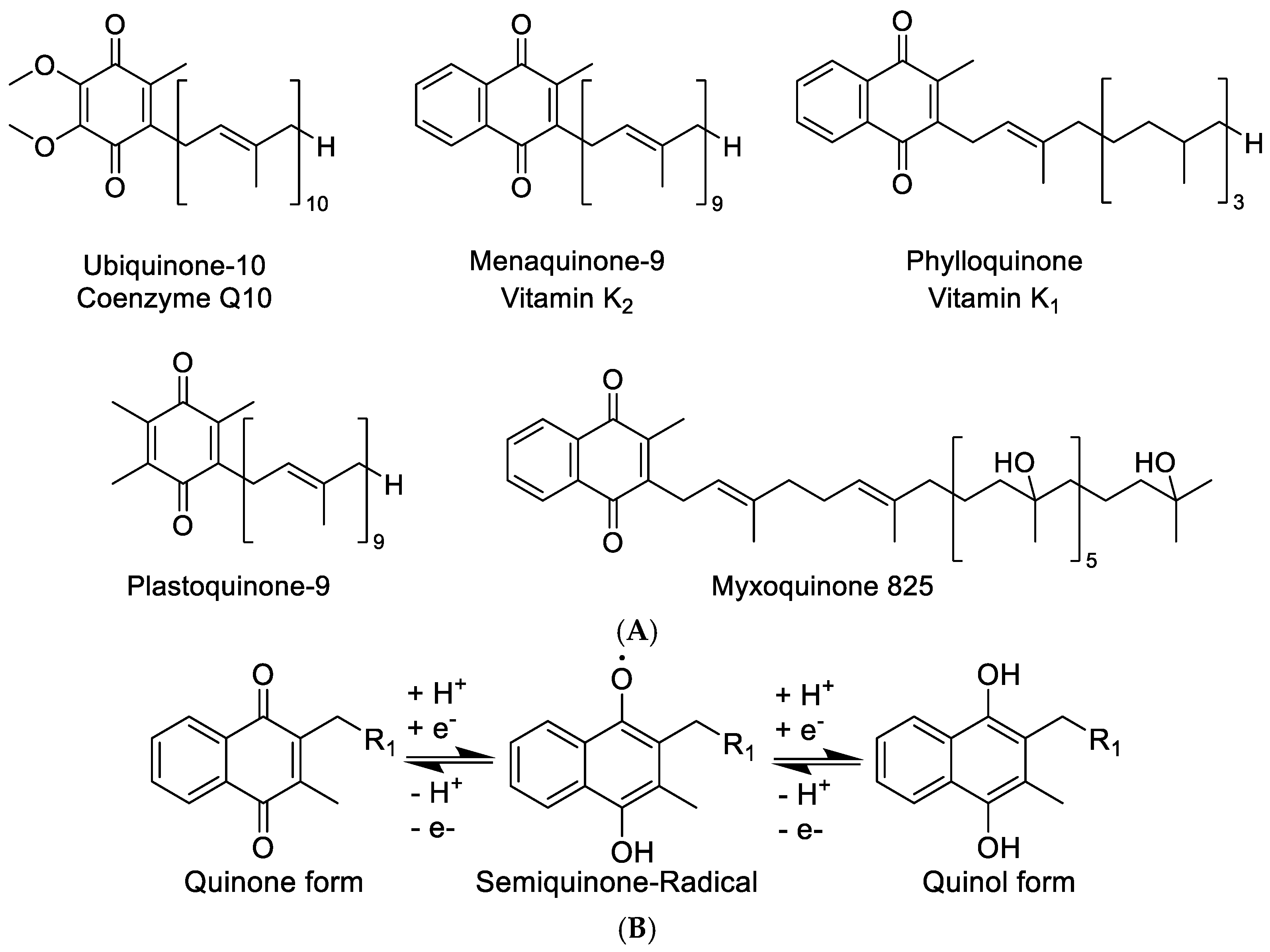Microorganisms 10 00534 g001