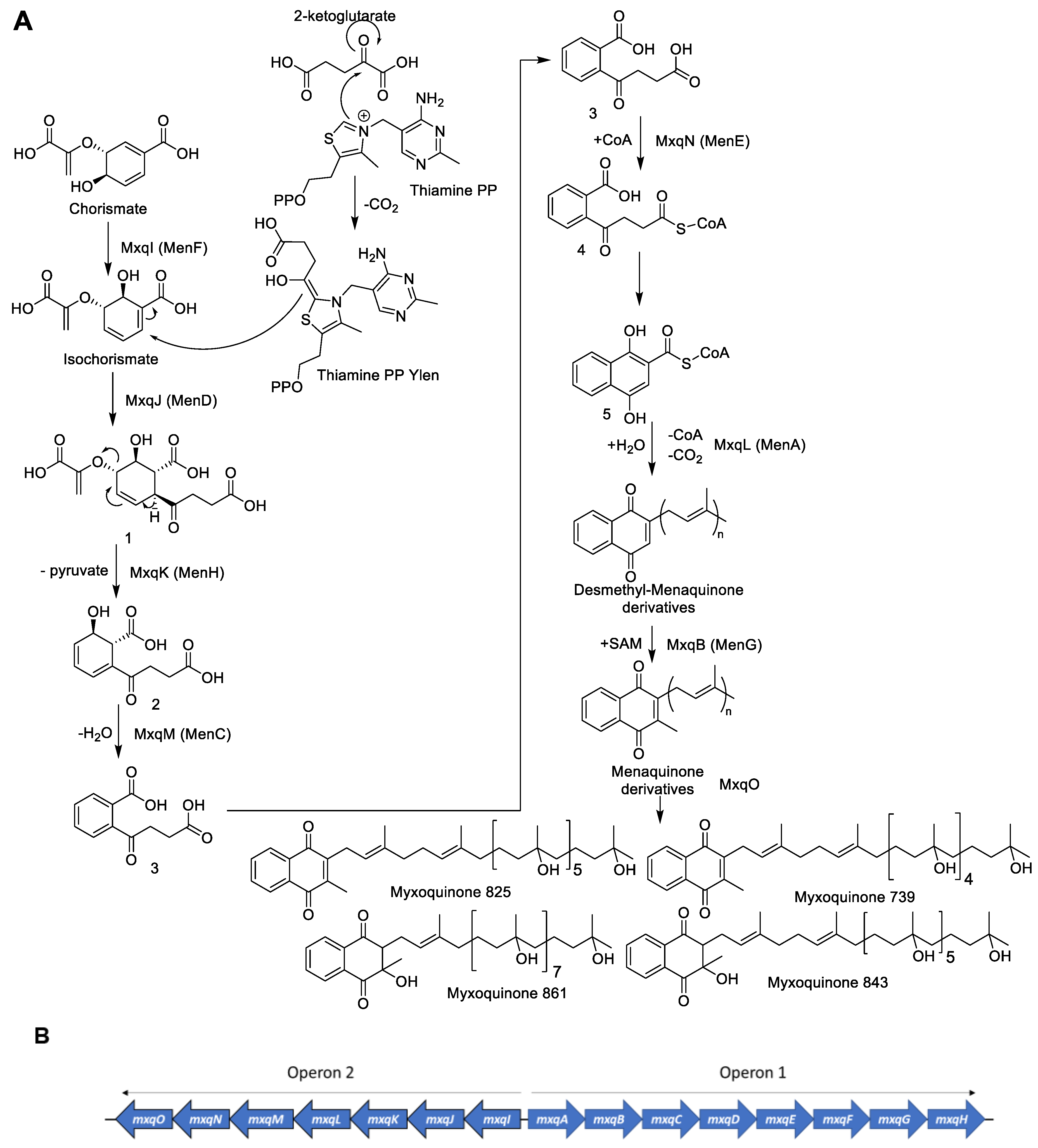 Microorganisms 10 00534 g005