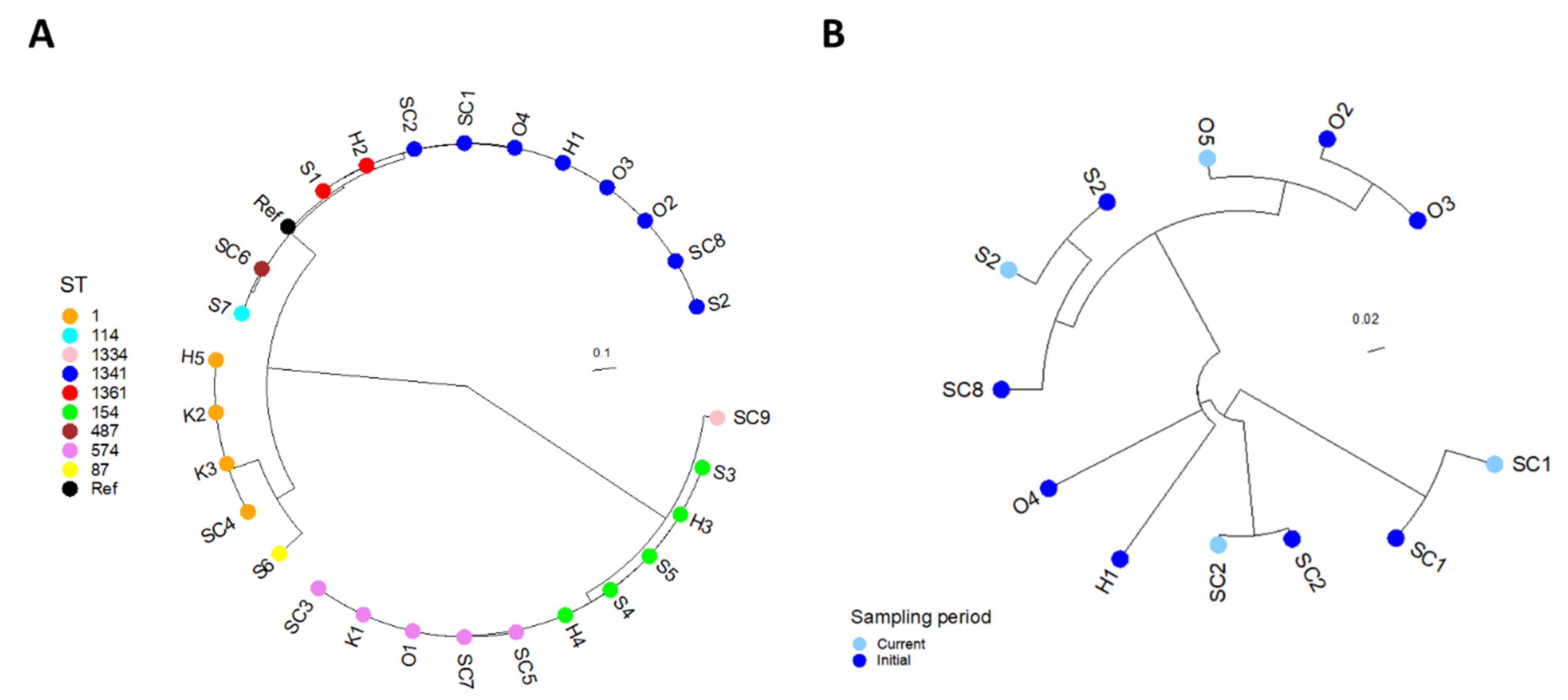 Microorganisms 10 00536 g003