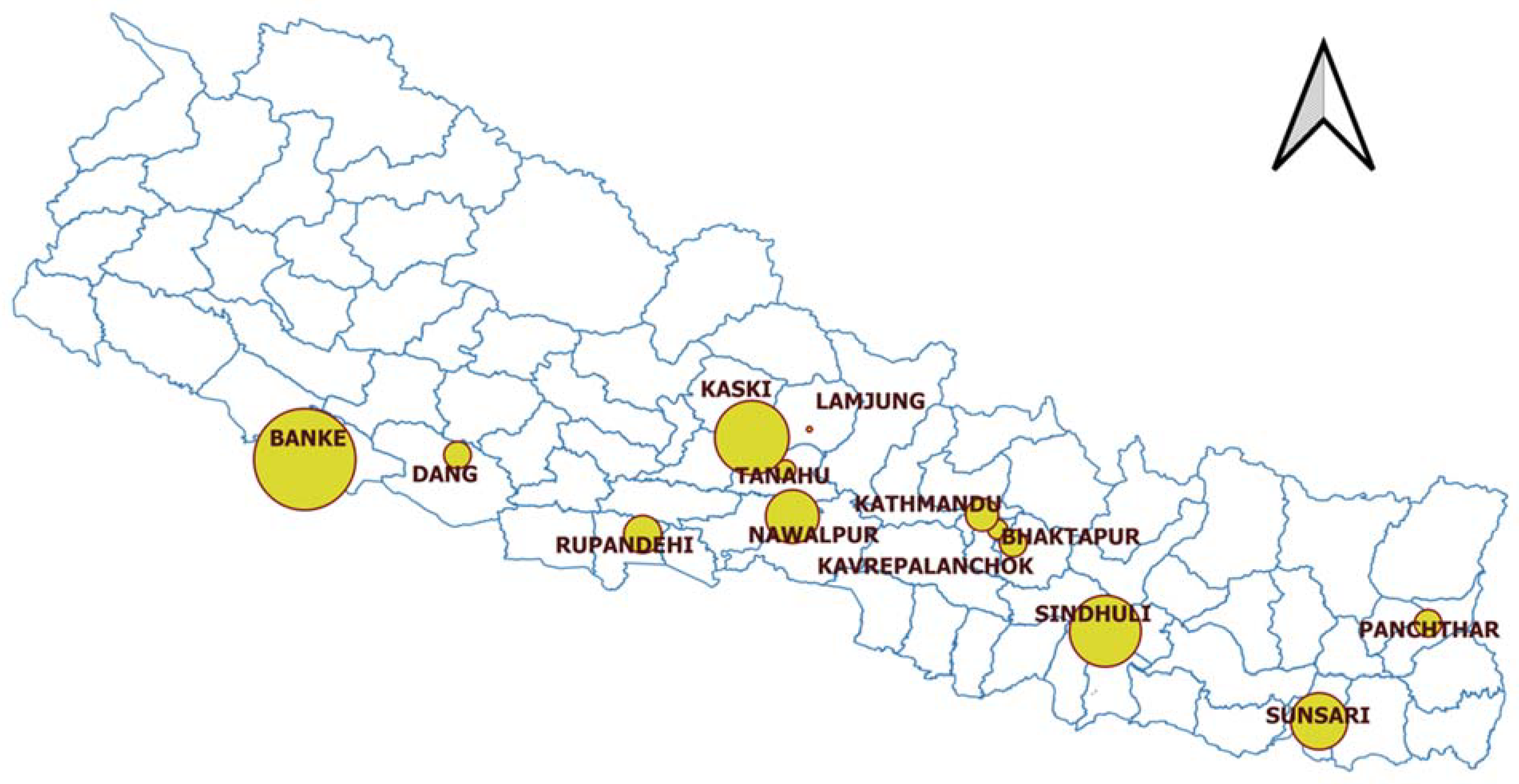 Microorganisms 10 00539 g001