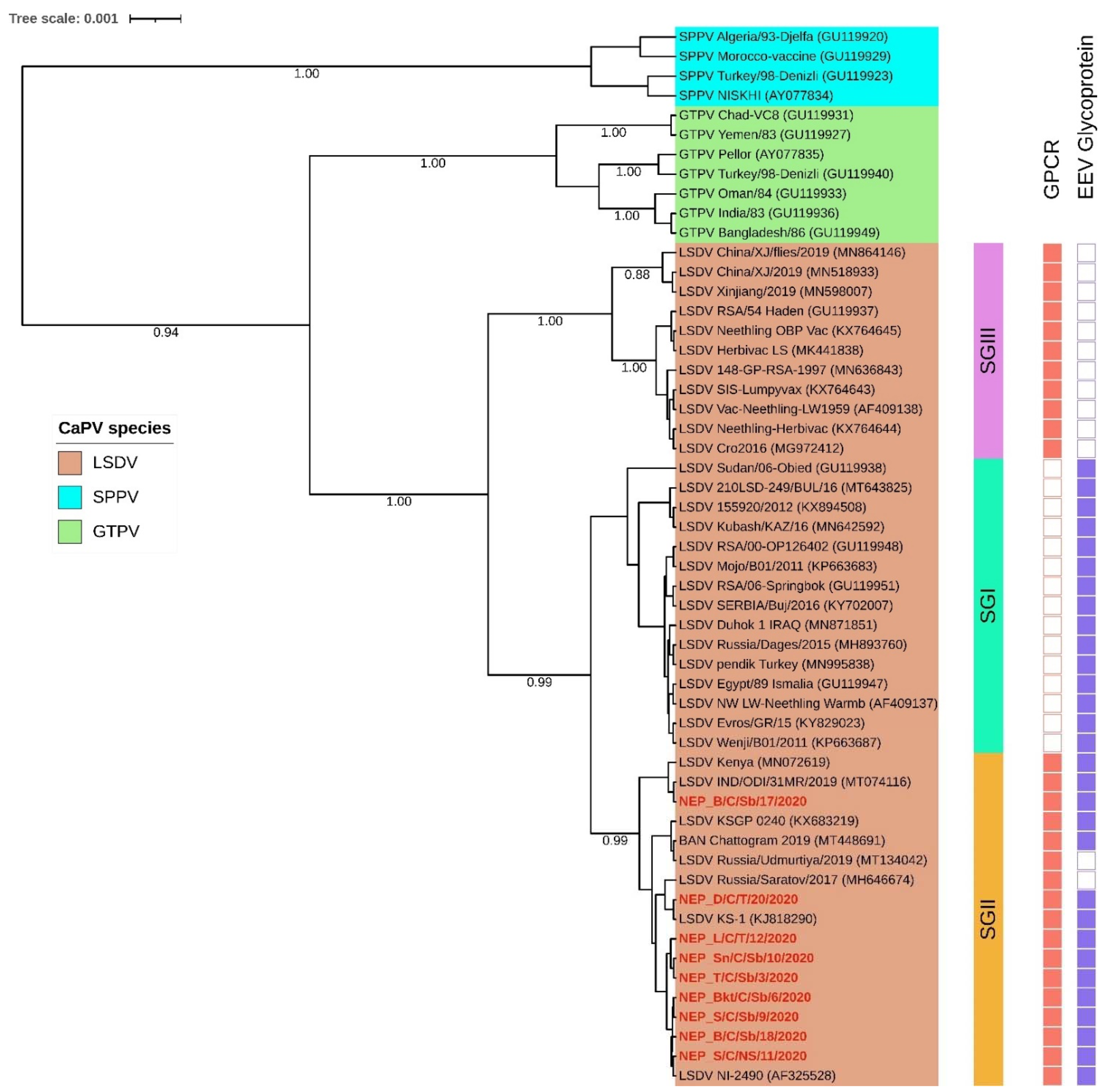 Microorganisms 10 00539 g004