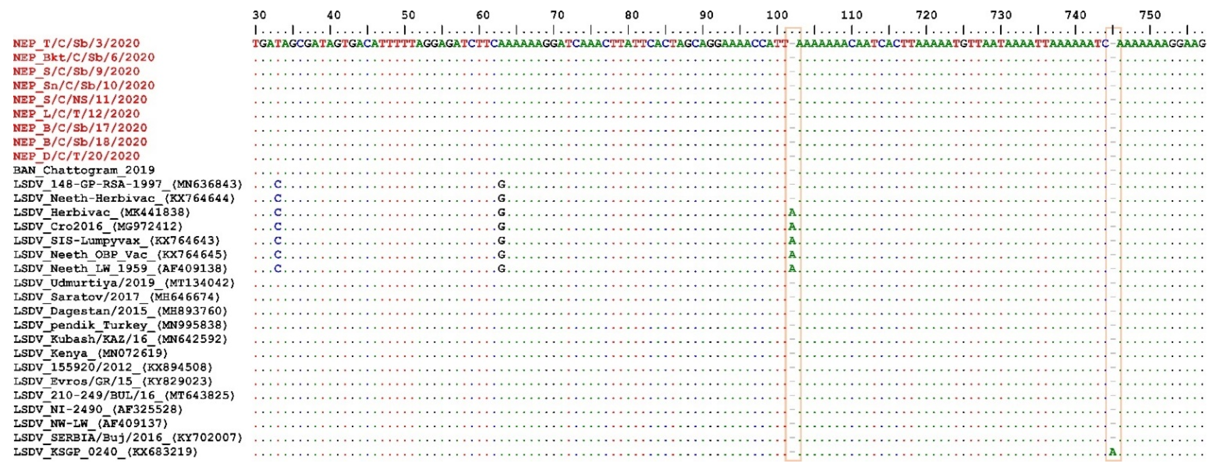 Microorganisms 10 00539 g005