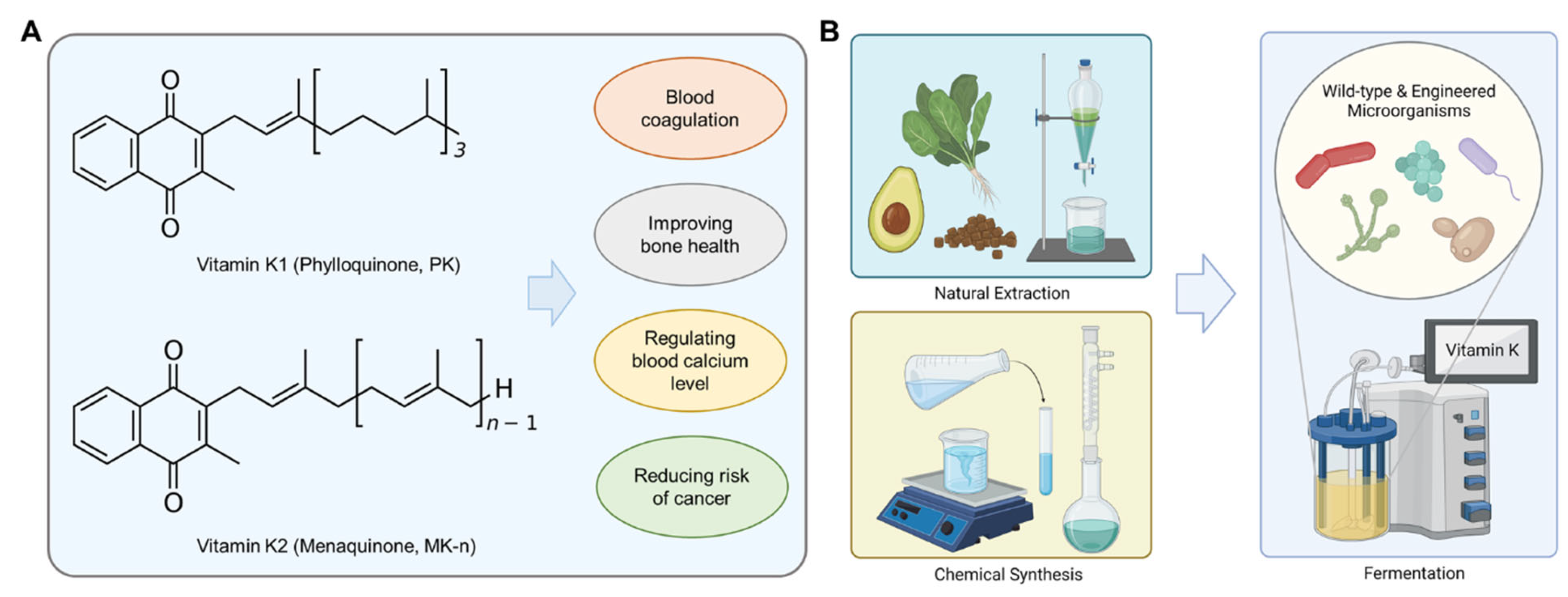 Microorganisms 10 00554 g001