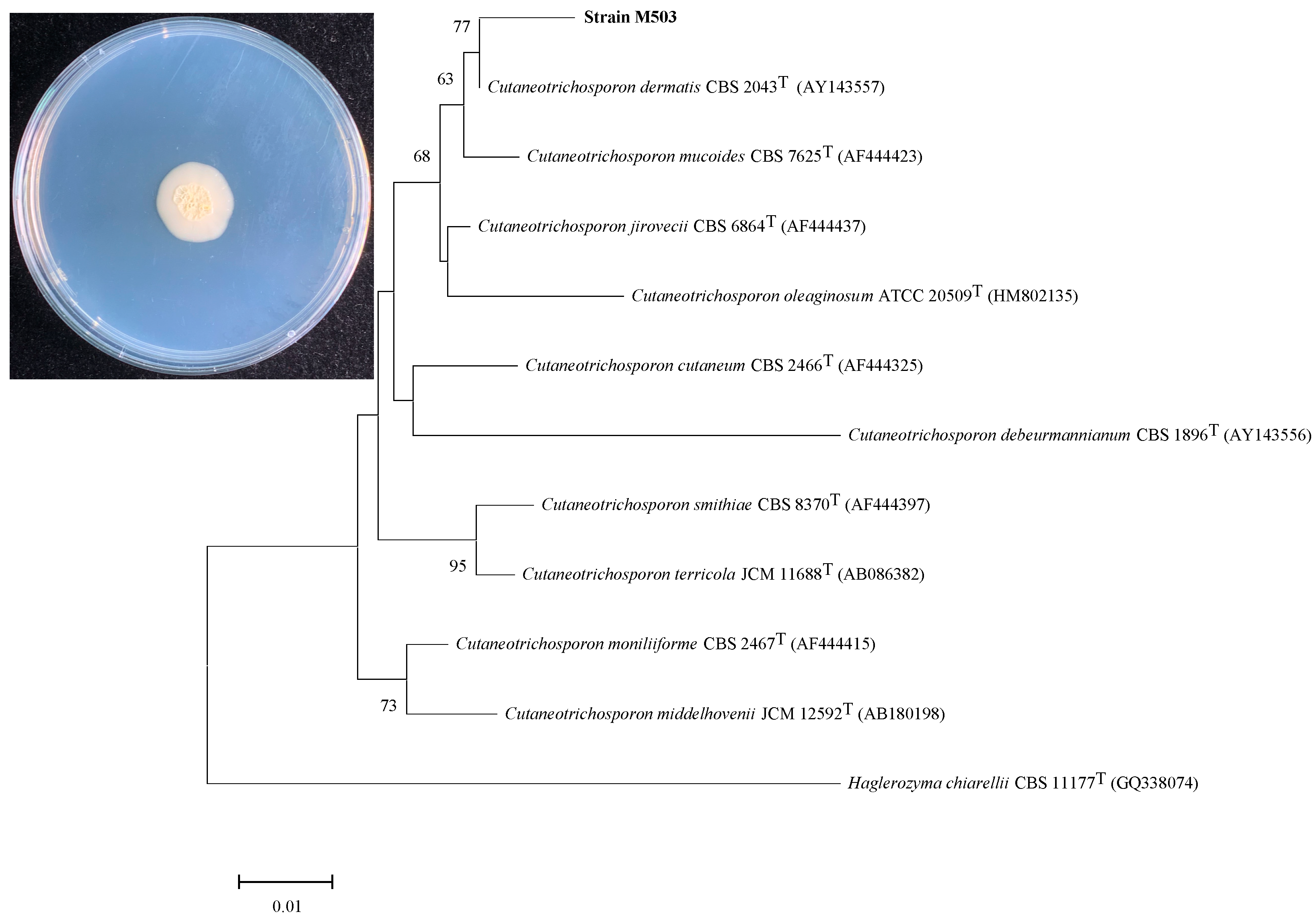 Microorganisms 10 00565 g001 Microorganisms 10 00565 g001
