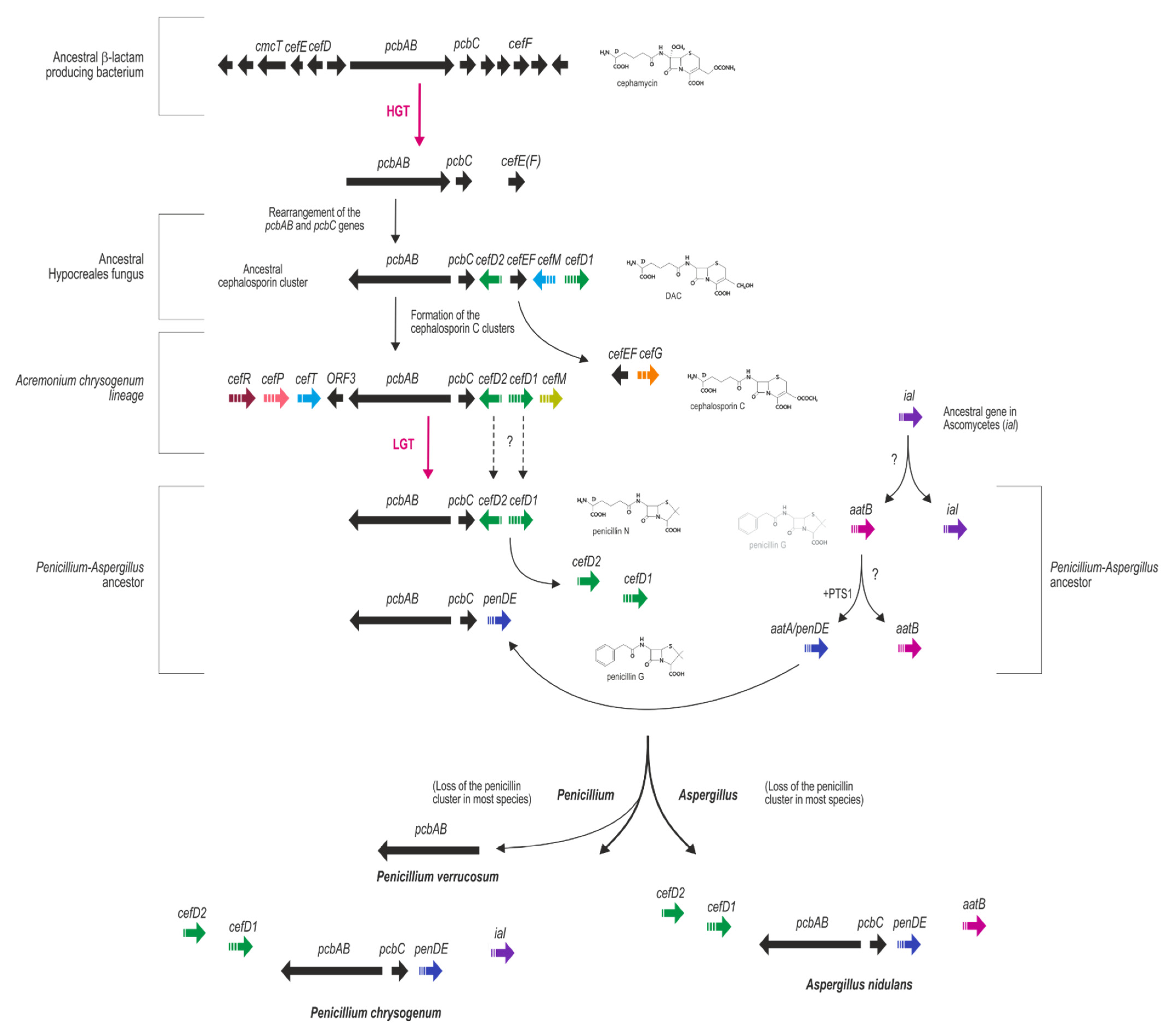 Microorganisms 10 00573 g002