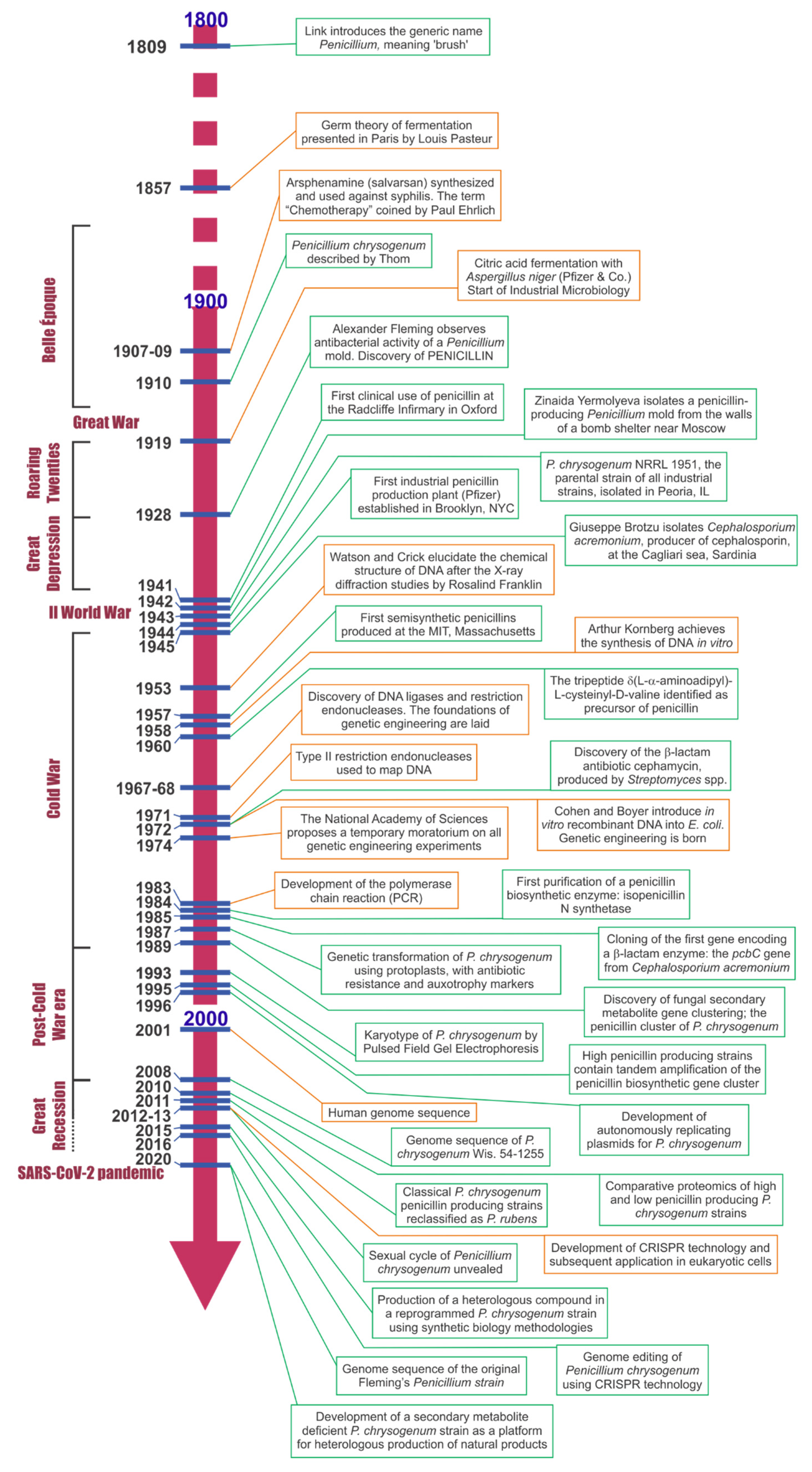 Microorganisms 10 00573 g004