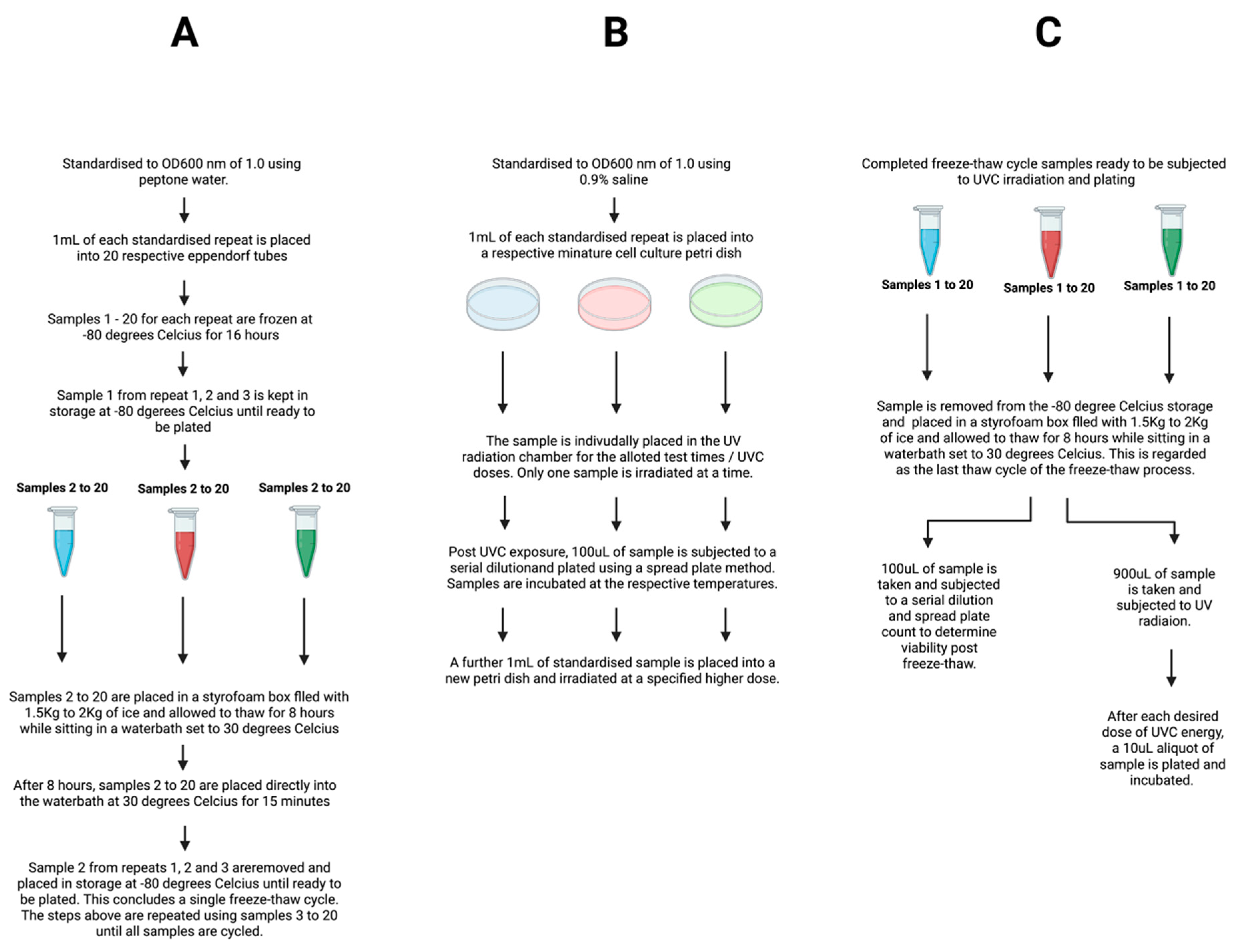 Microorganisms 10 00576 g001