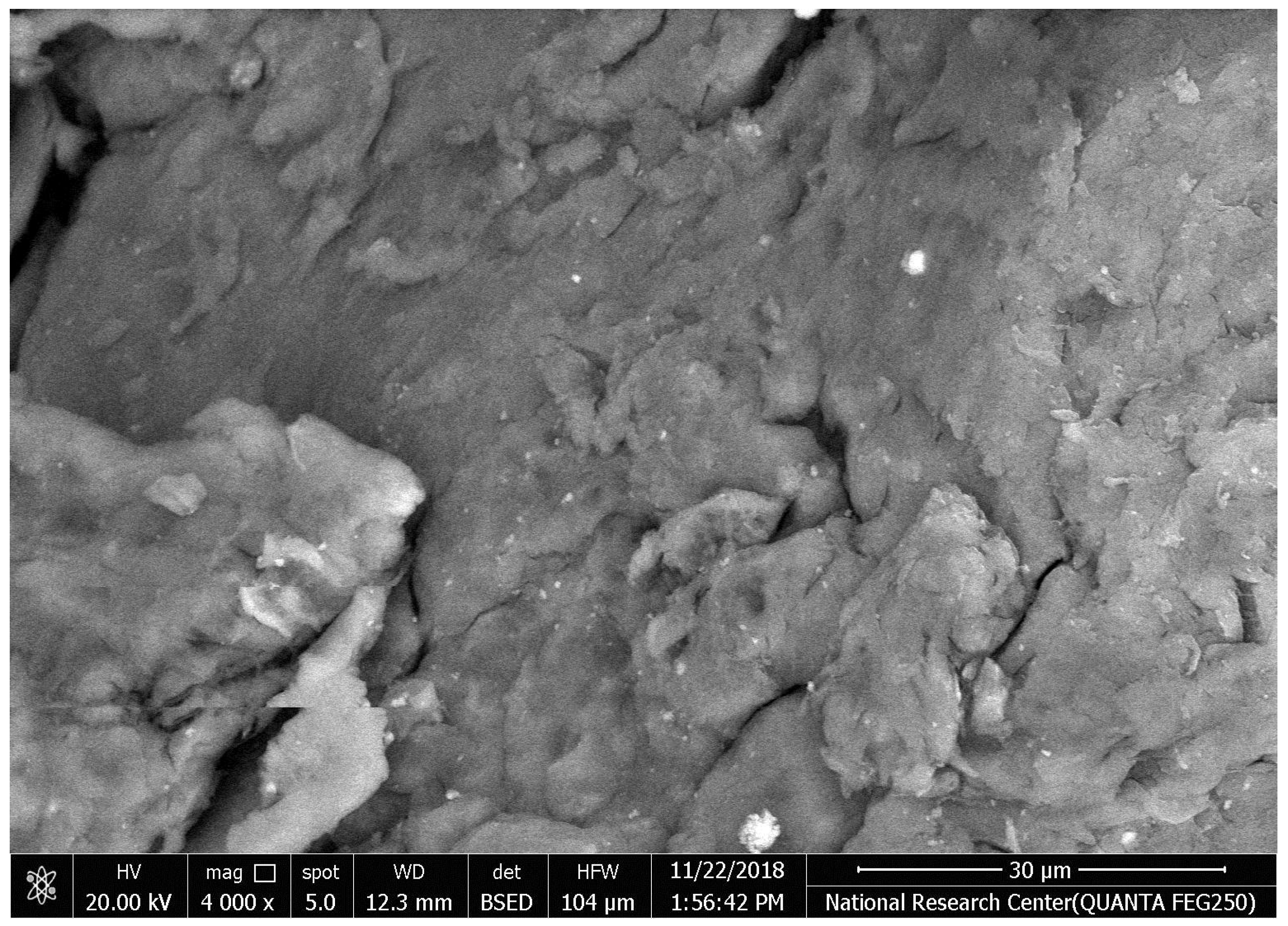 Microorganisms 10 00581 g002