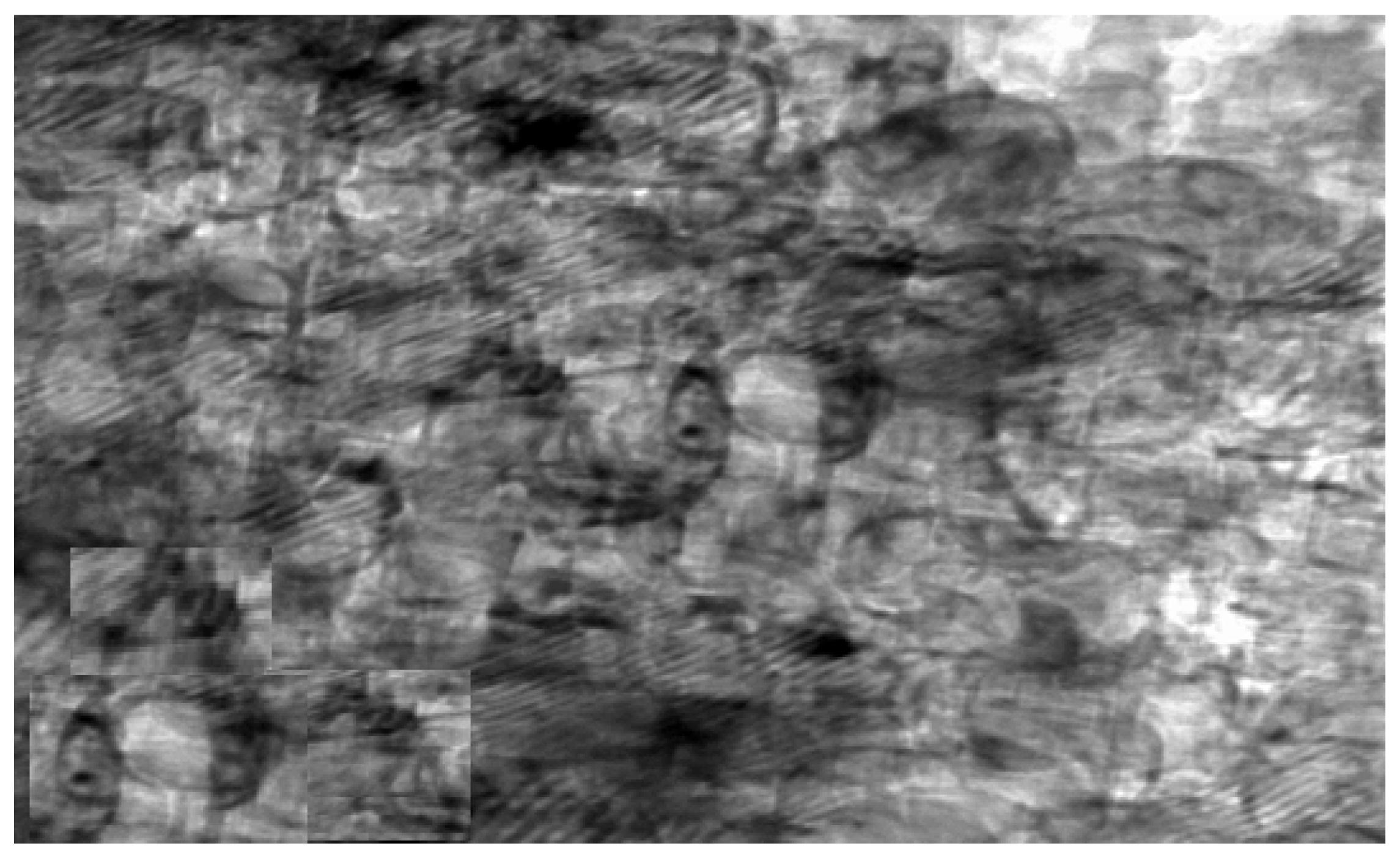 Microorganisms 10 00581 g004