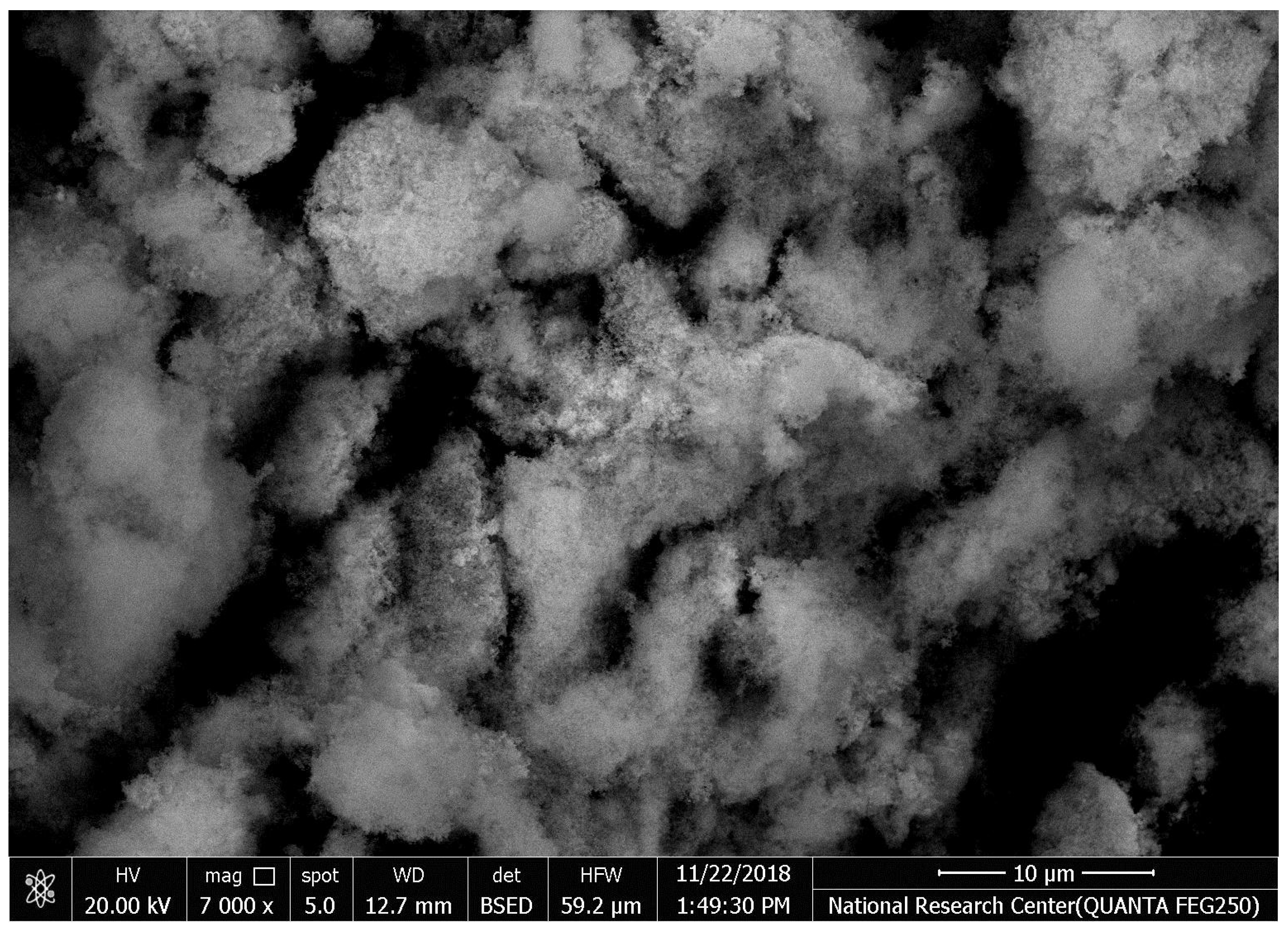 Microorganisms 10 00581 g006