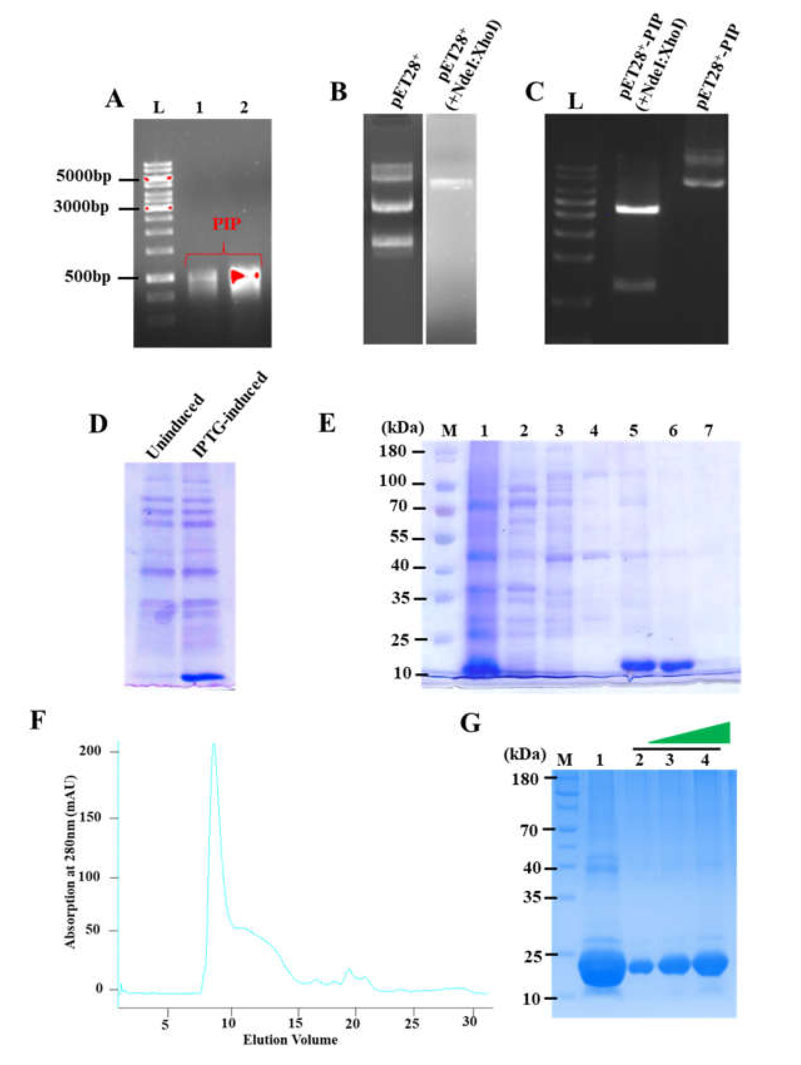 Microorganisms 10 00597 g001