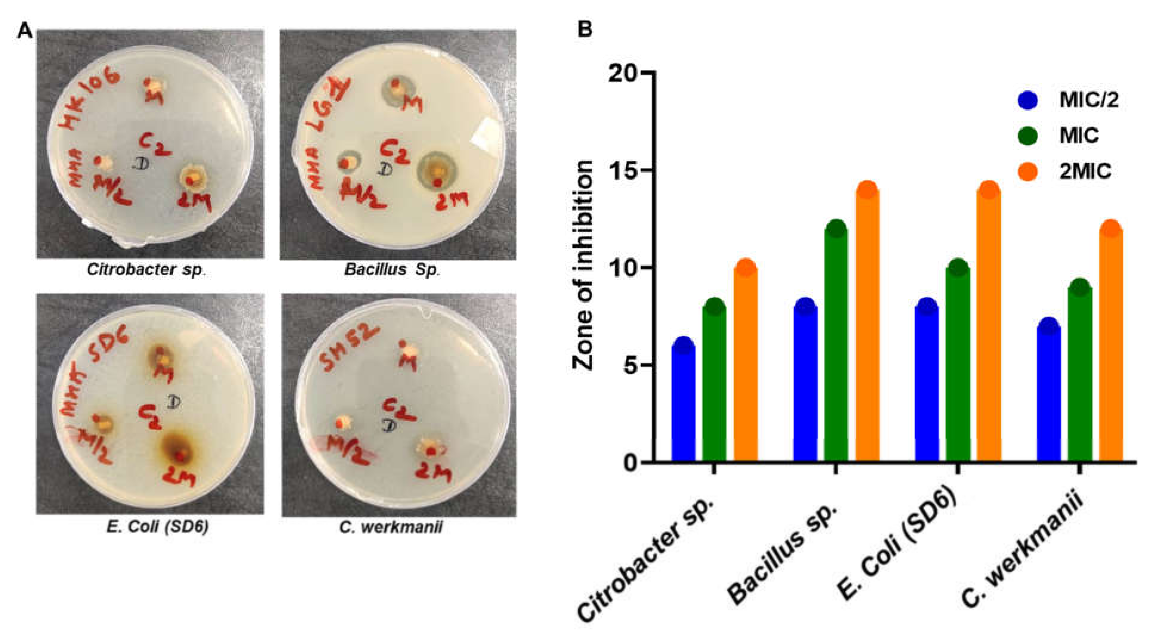Microorganisms 10 00597 g003