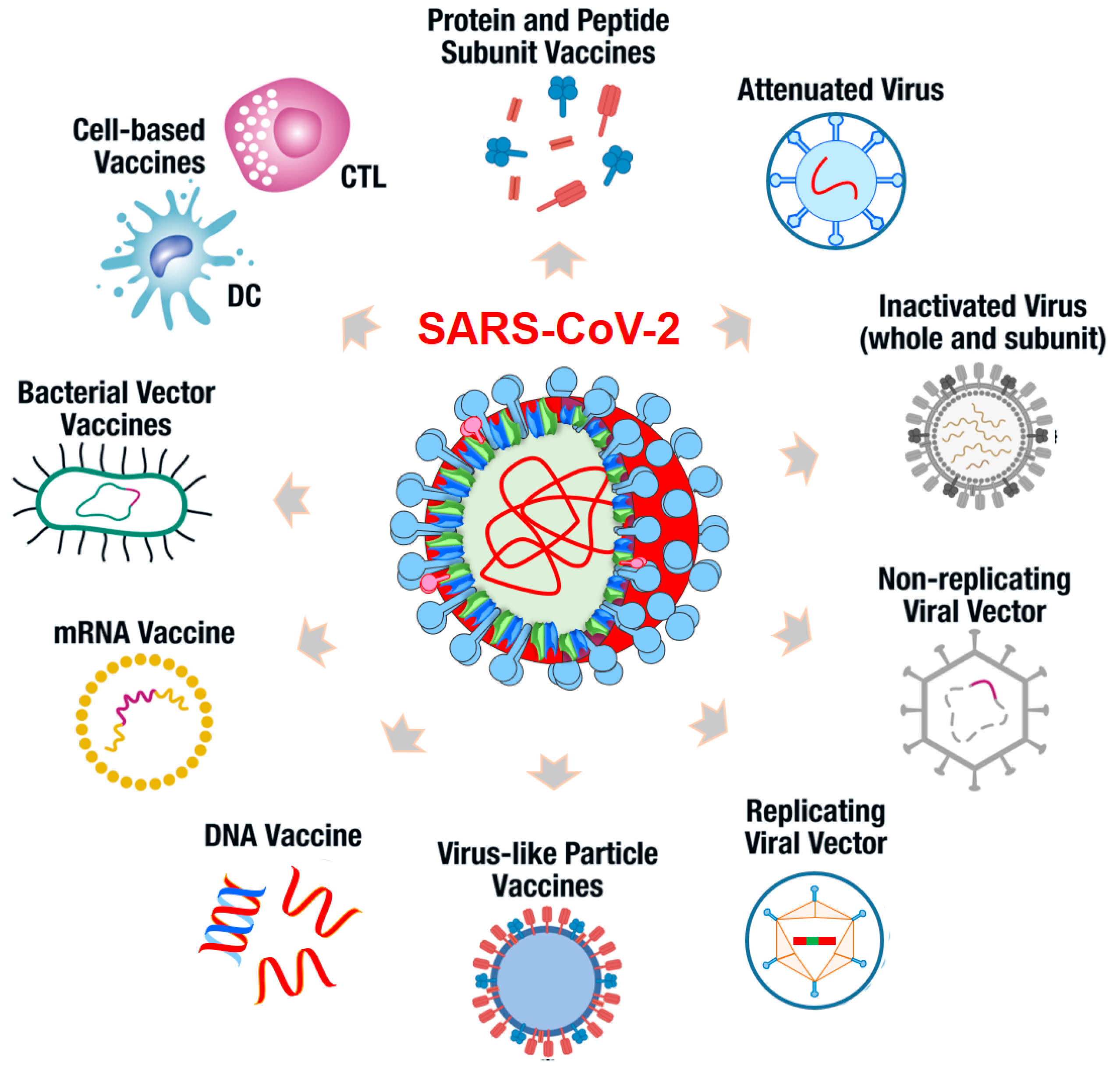 Microorganisms 10 00598 g004