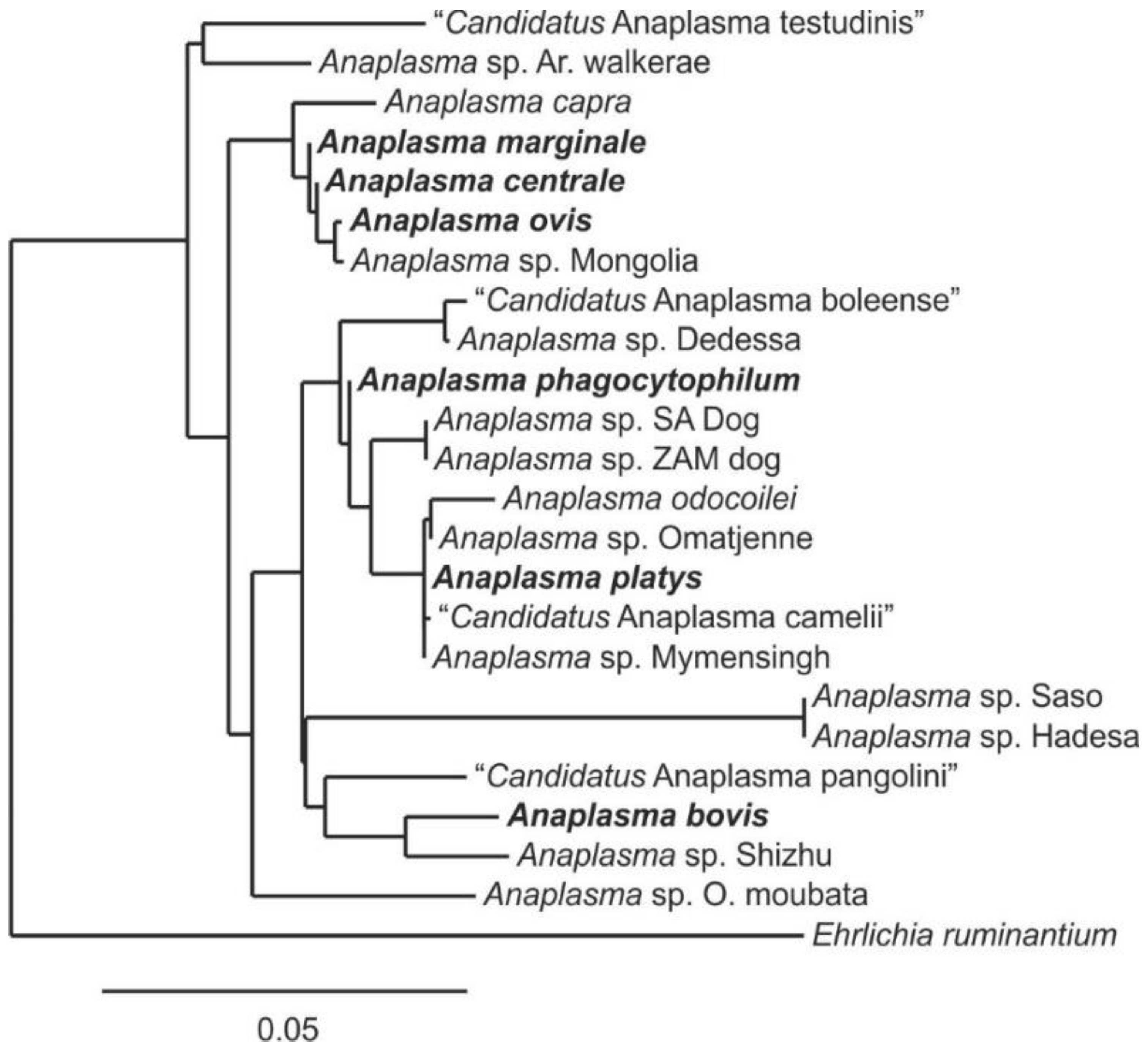 Microorganisms 10 00605 g001