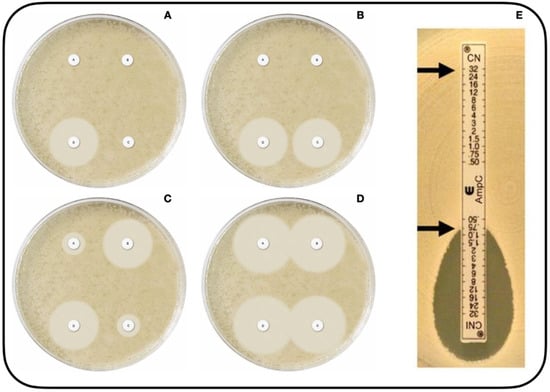 Microorganisms 10 00611 g001